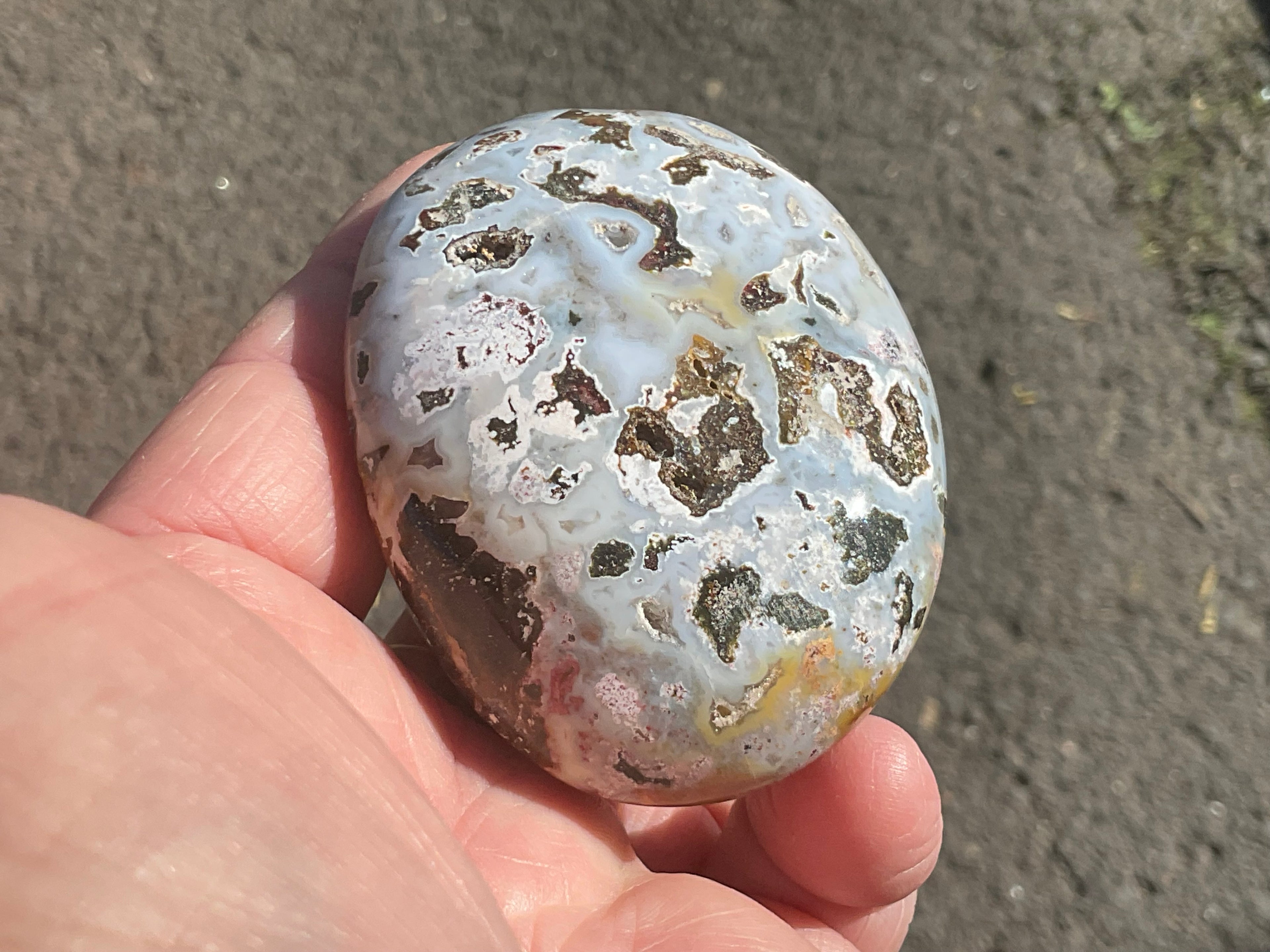 142g Ocean Jasper Palmstone 6C