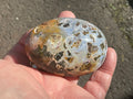 142g Ocean Jasper Palmstone 6C