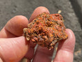 54g Crocoite Specimen 9C