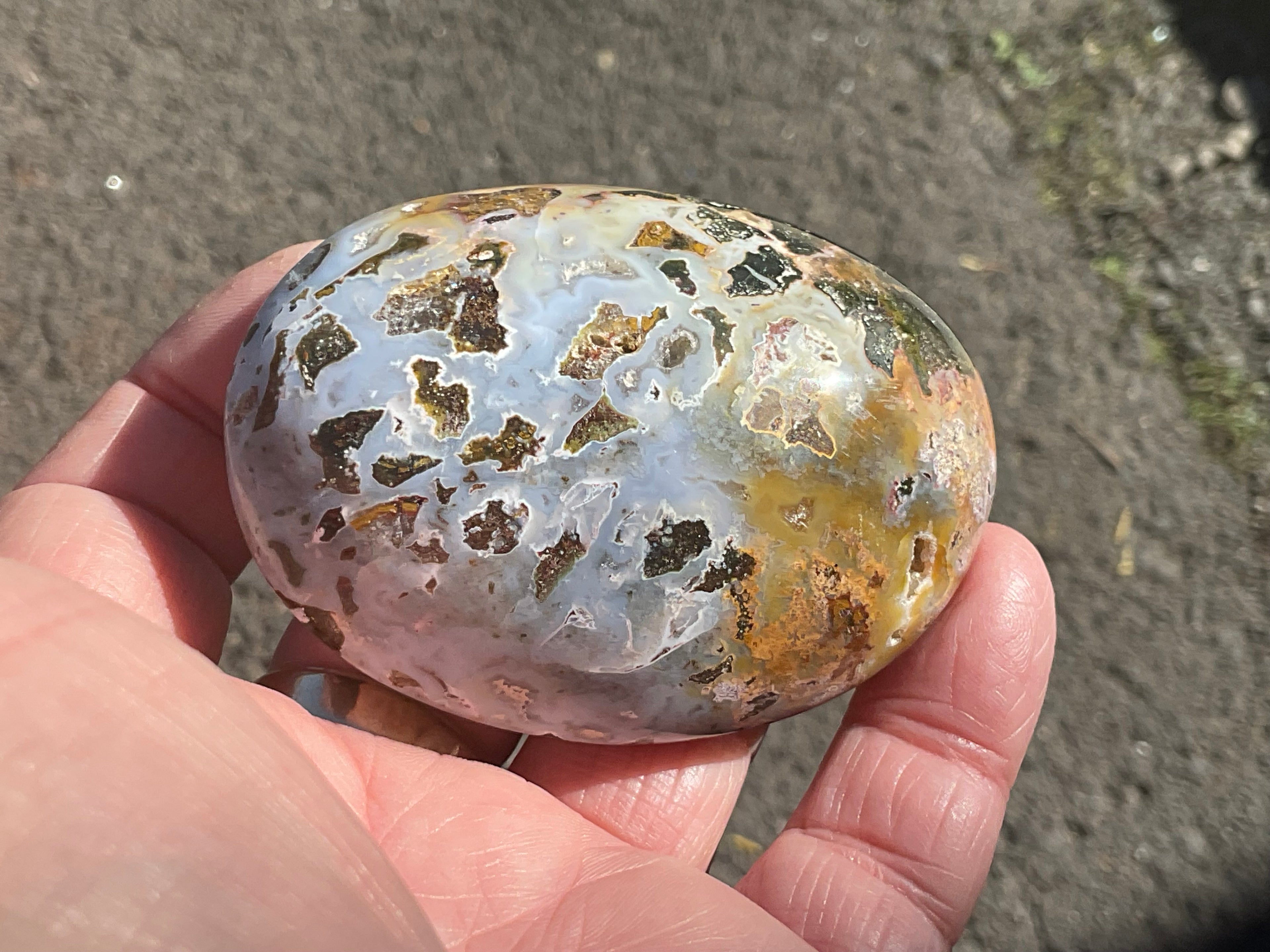 142g Ocean Jasper Palmstone 6C