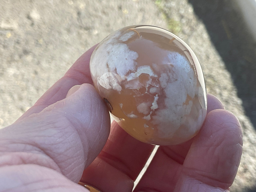 79g Flower Agate Palmstone 1B