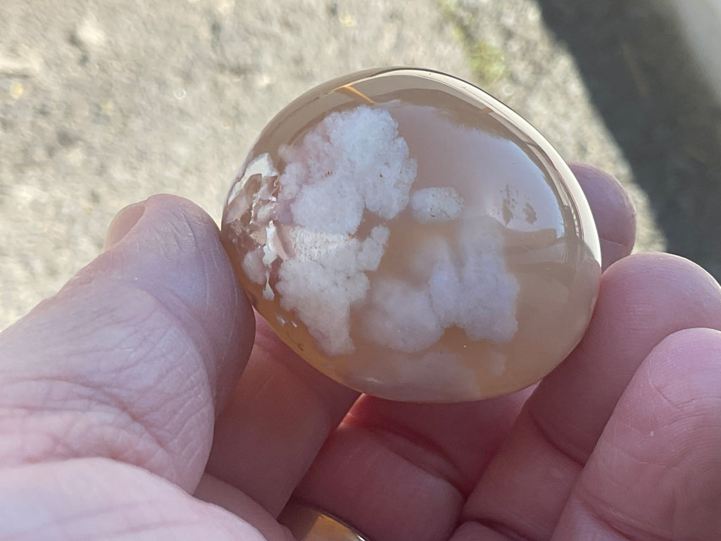 79g Flower Agate Palmstone 1B