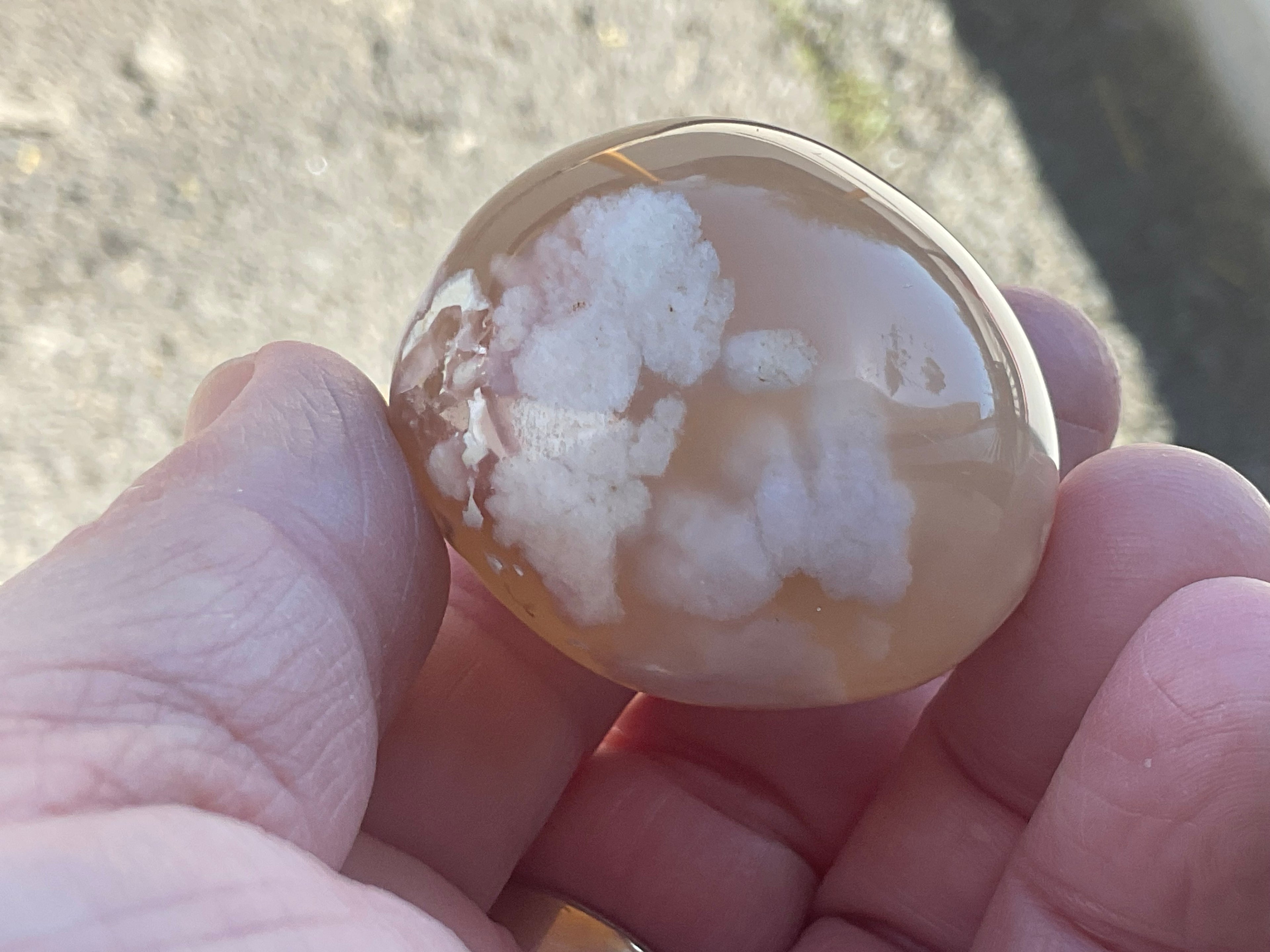 79g Flower Agate Palmstone 1B