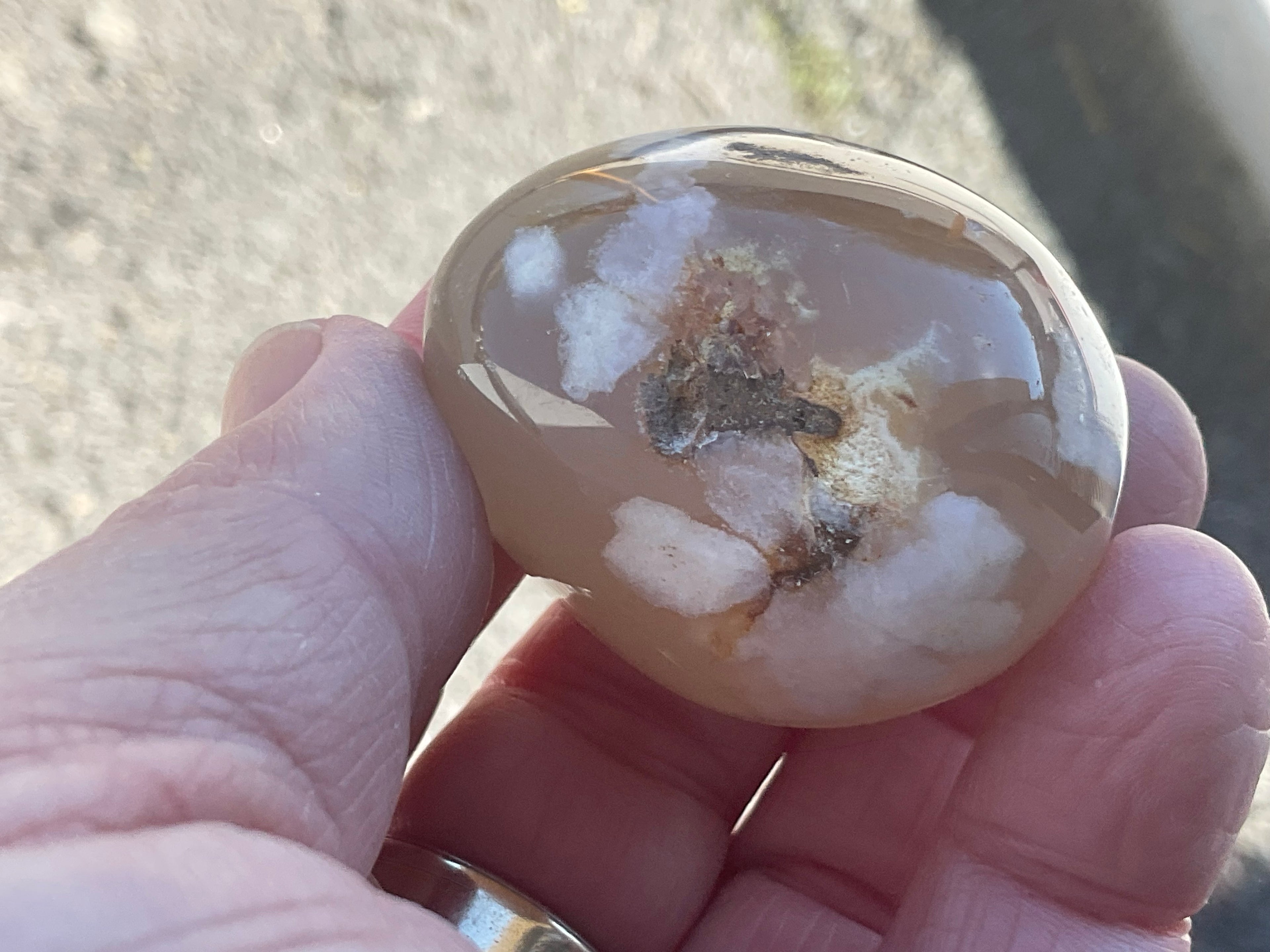 79g Flower Agate Palmstone 1B