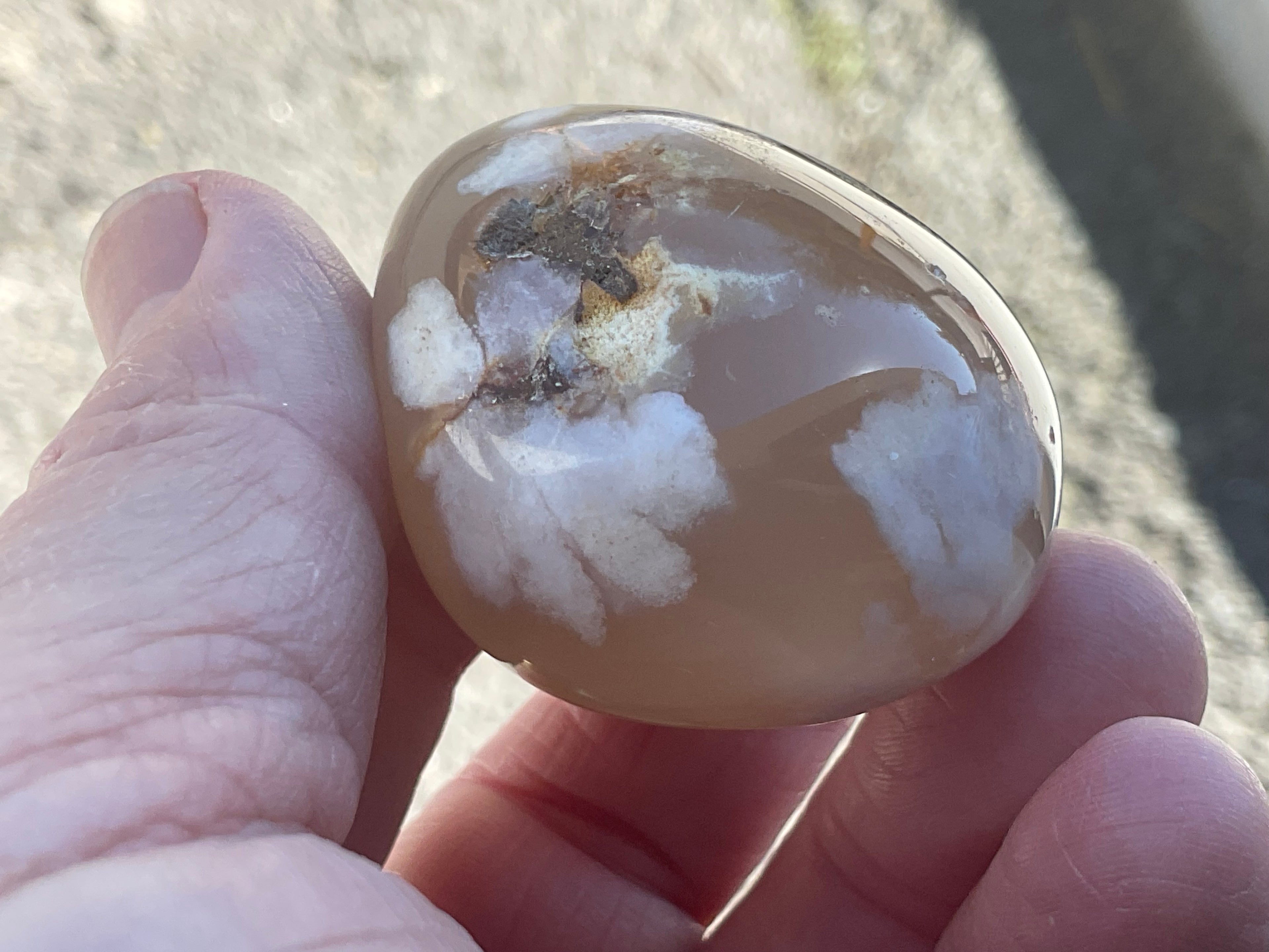 79g Flower Agate Palmstone 1B