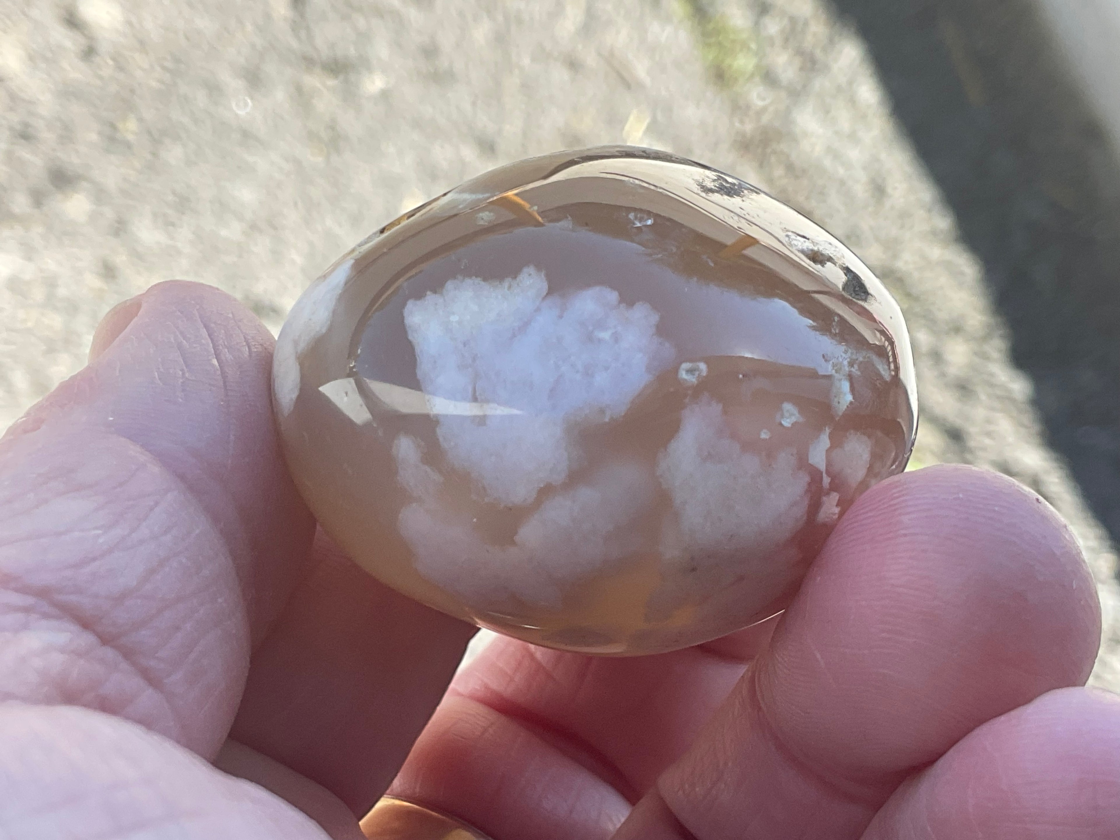 79g Flower Agate Palmstone 1B