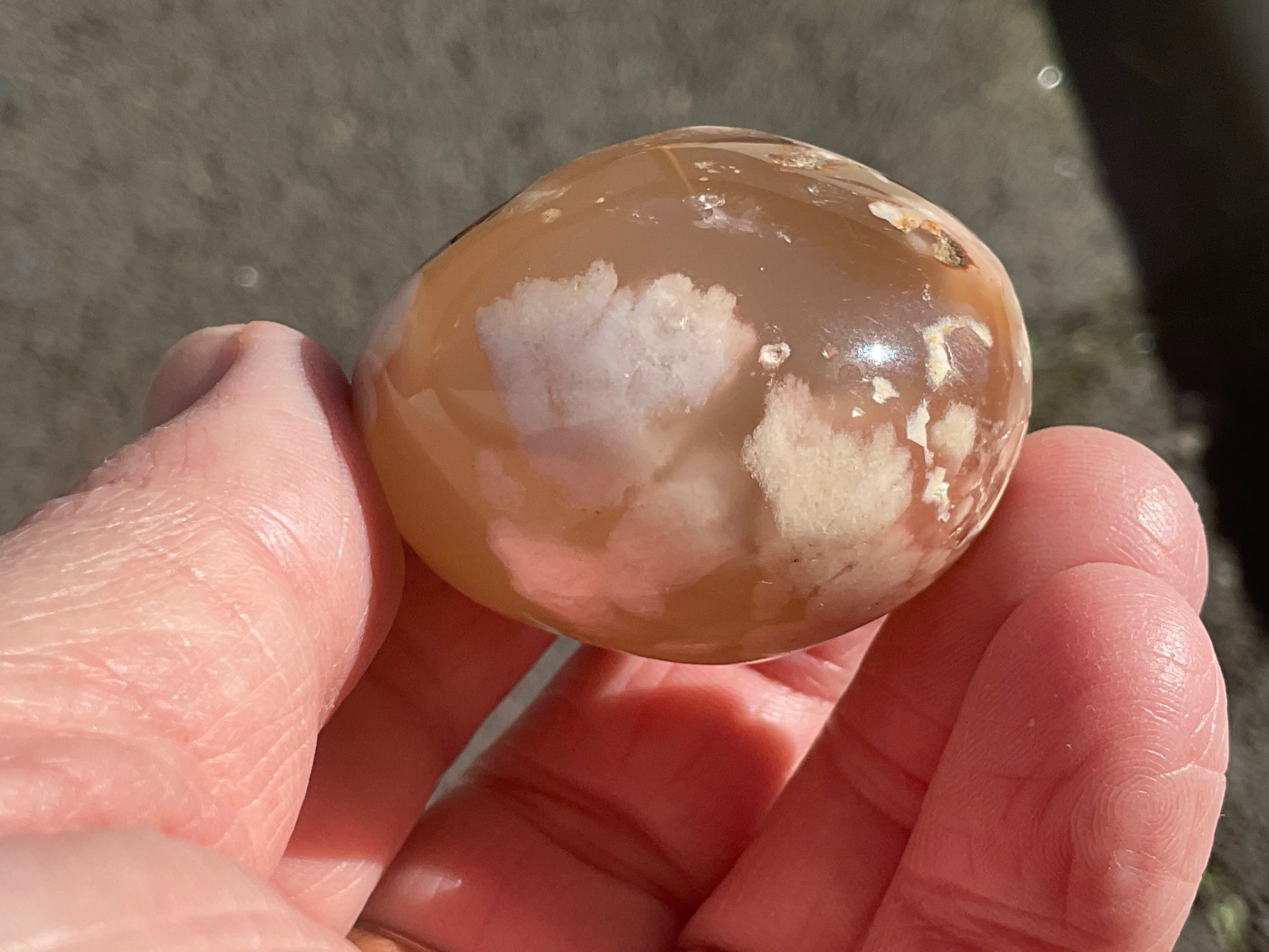 79g Flower Agate Palmstone 1B