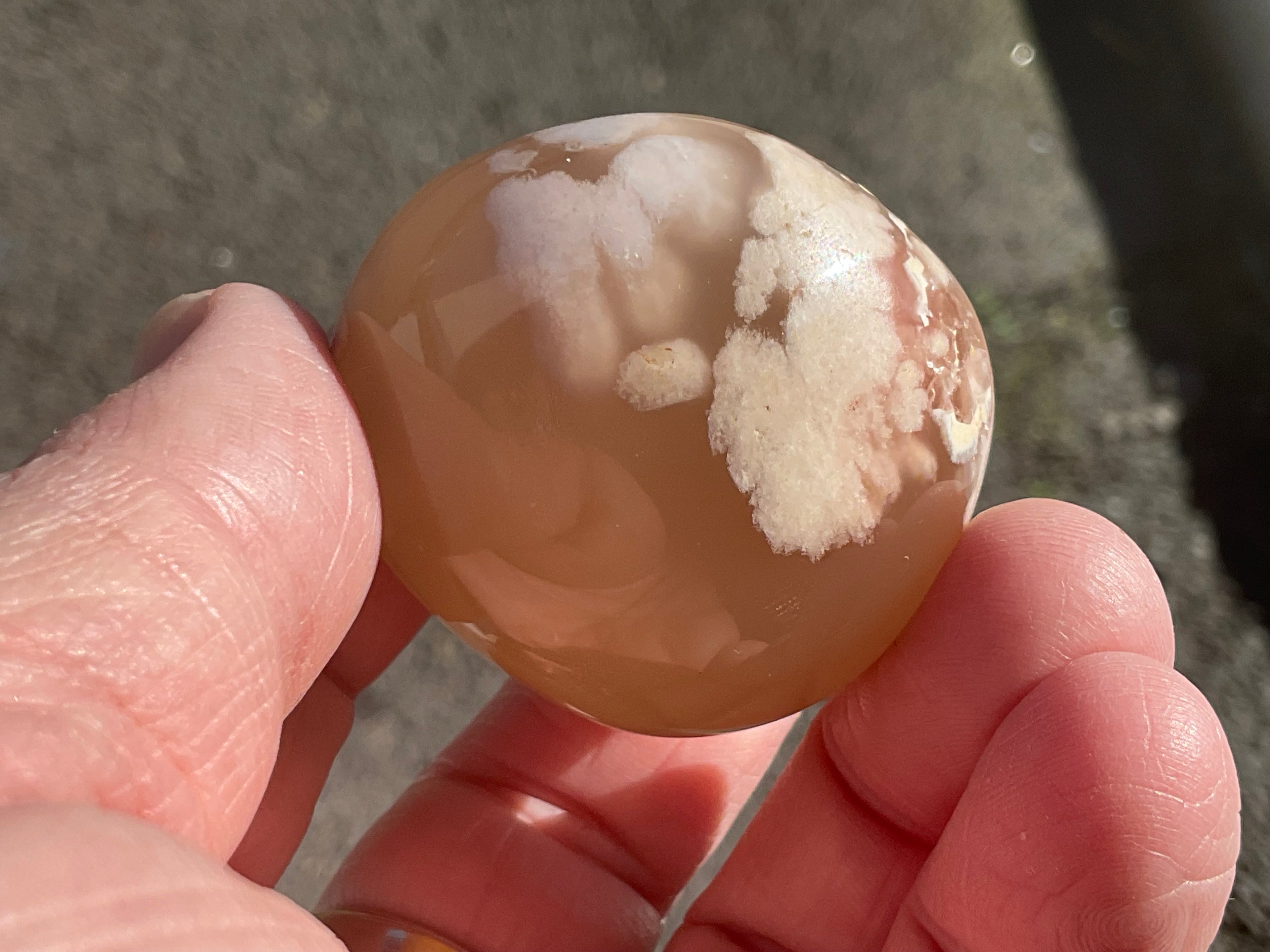 79g Flower Agate Palmstone 1B