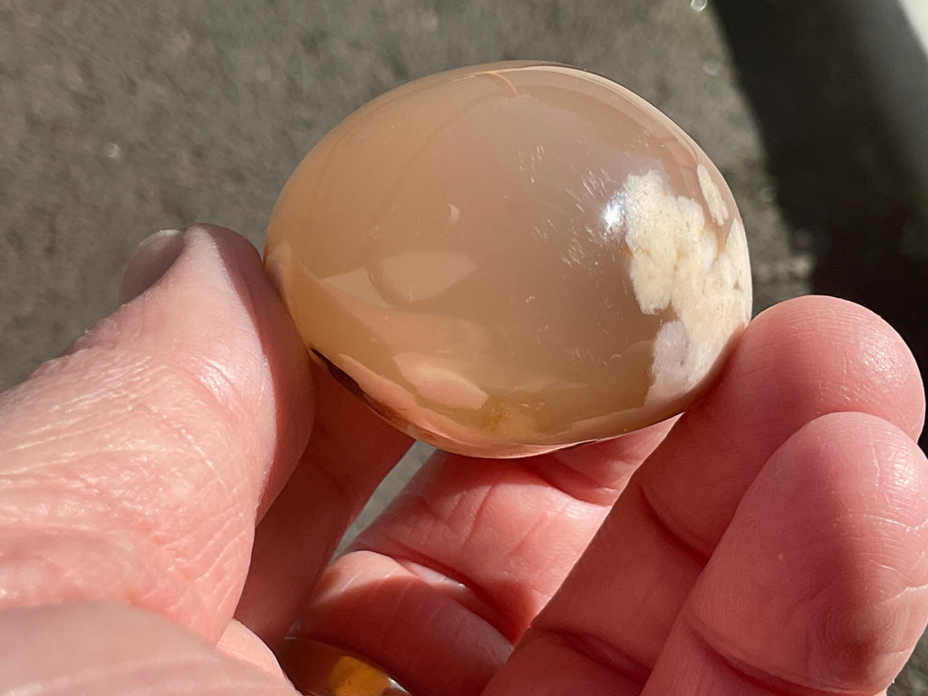 79g Flower Agate Palmstone 1B