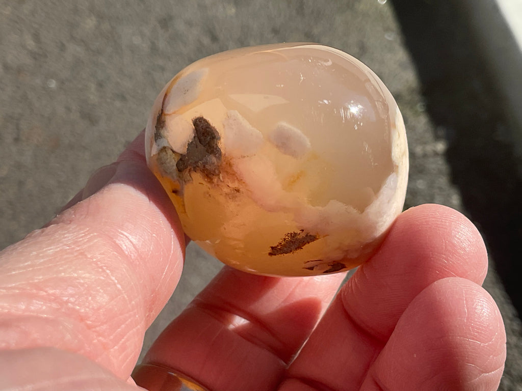 79g Flower Agate Palmstone 1B
