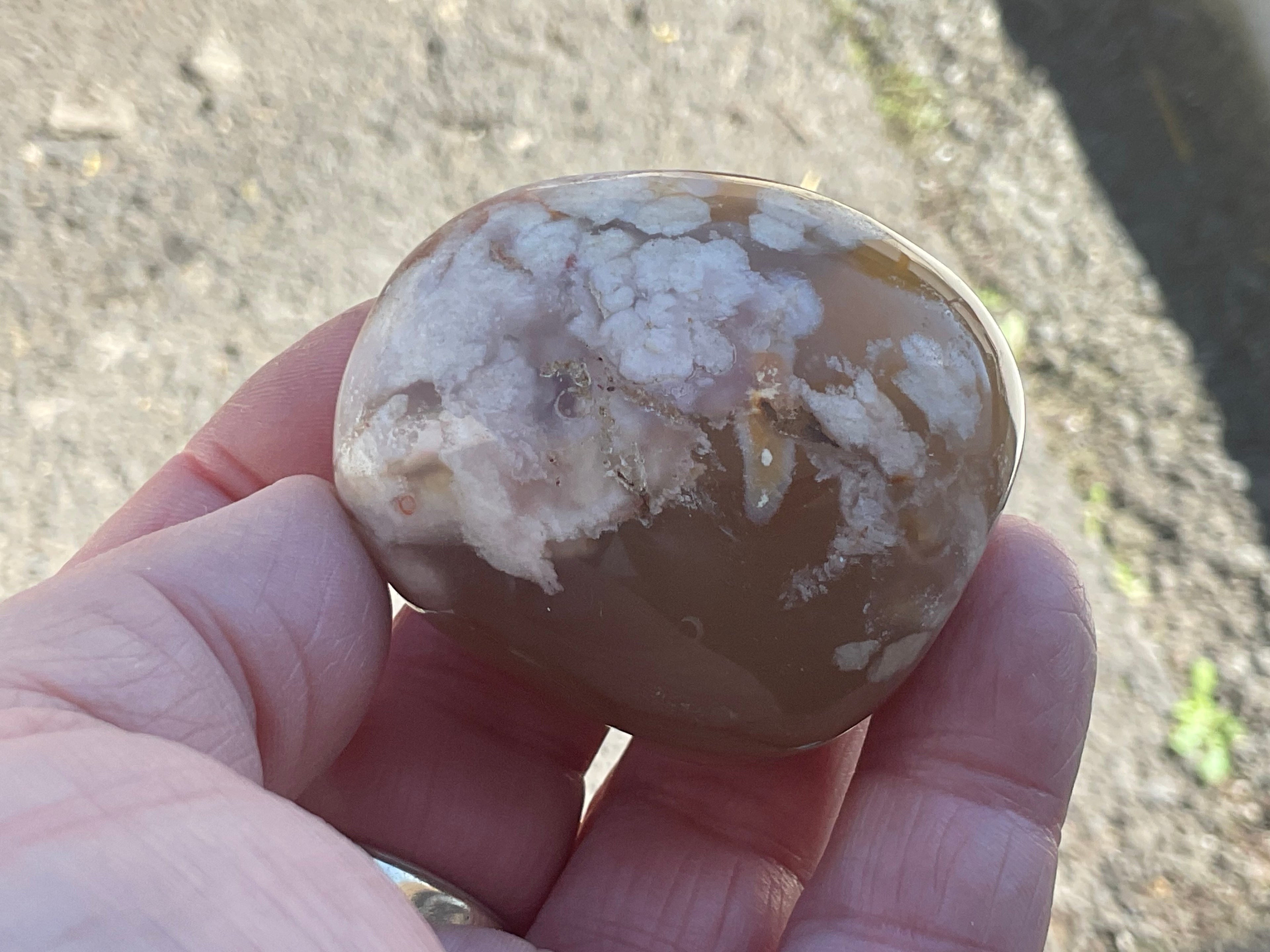 97g Flower Agate Palmstone 2D