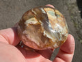 120g Flower Agate Palmstone 2E