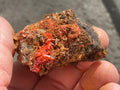 64g Crocoite Specimen 13A