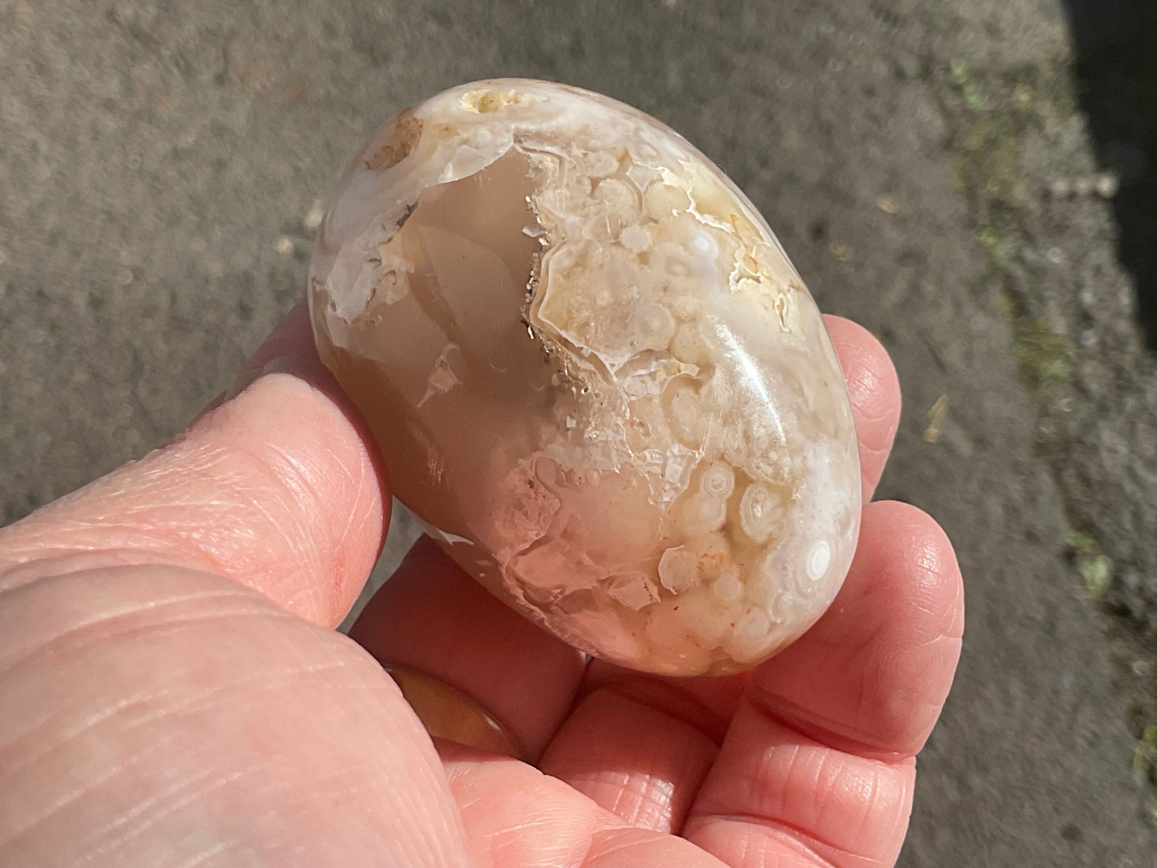 152g Flower Agate Palmstone 10B