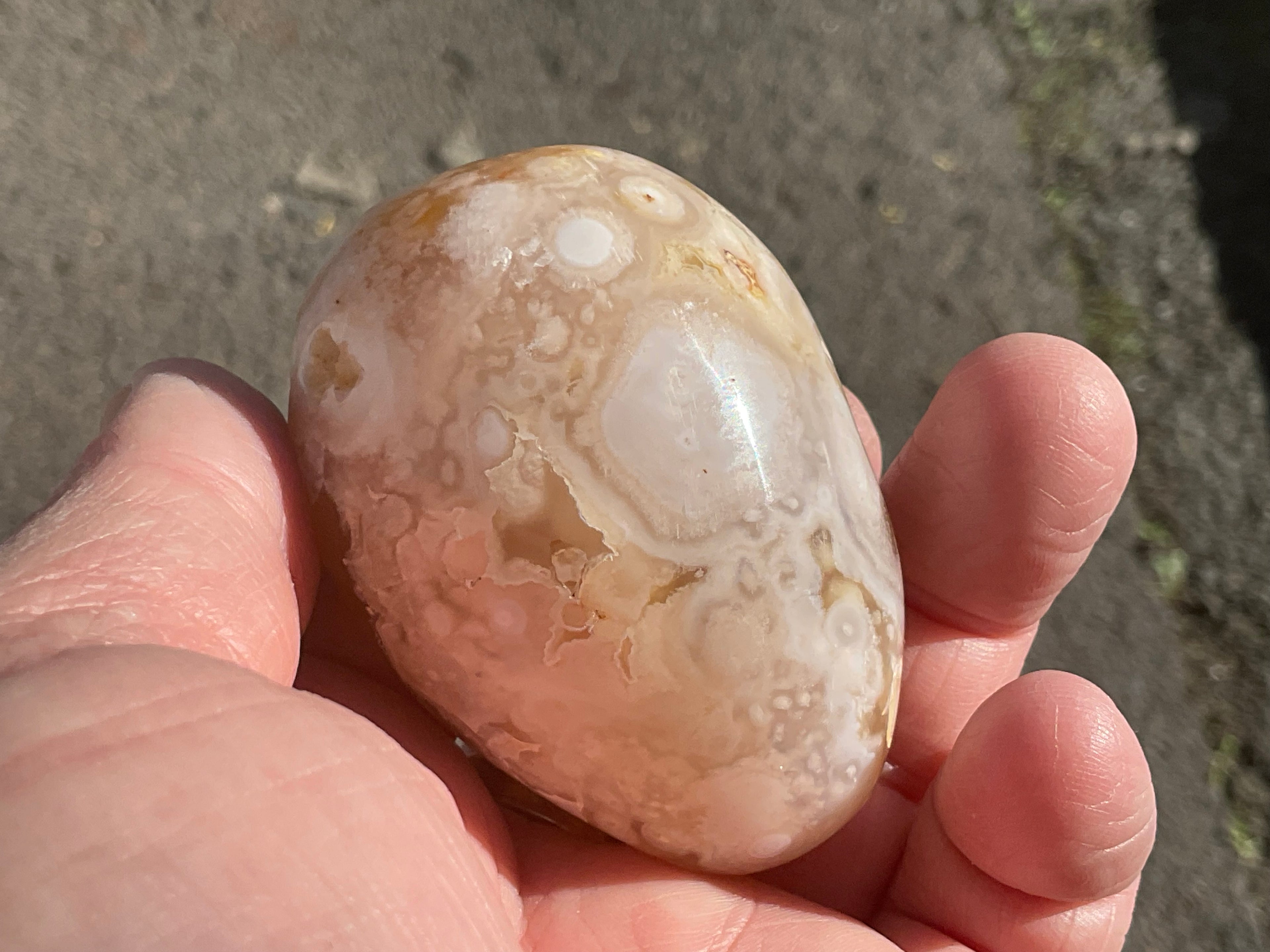 152g Flower Agate Palmstone 10B