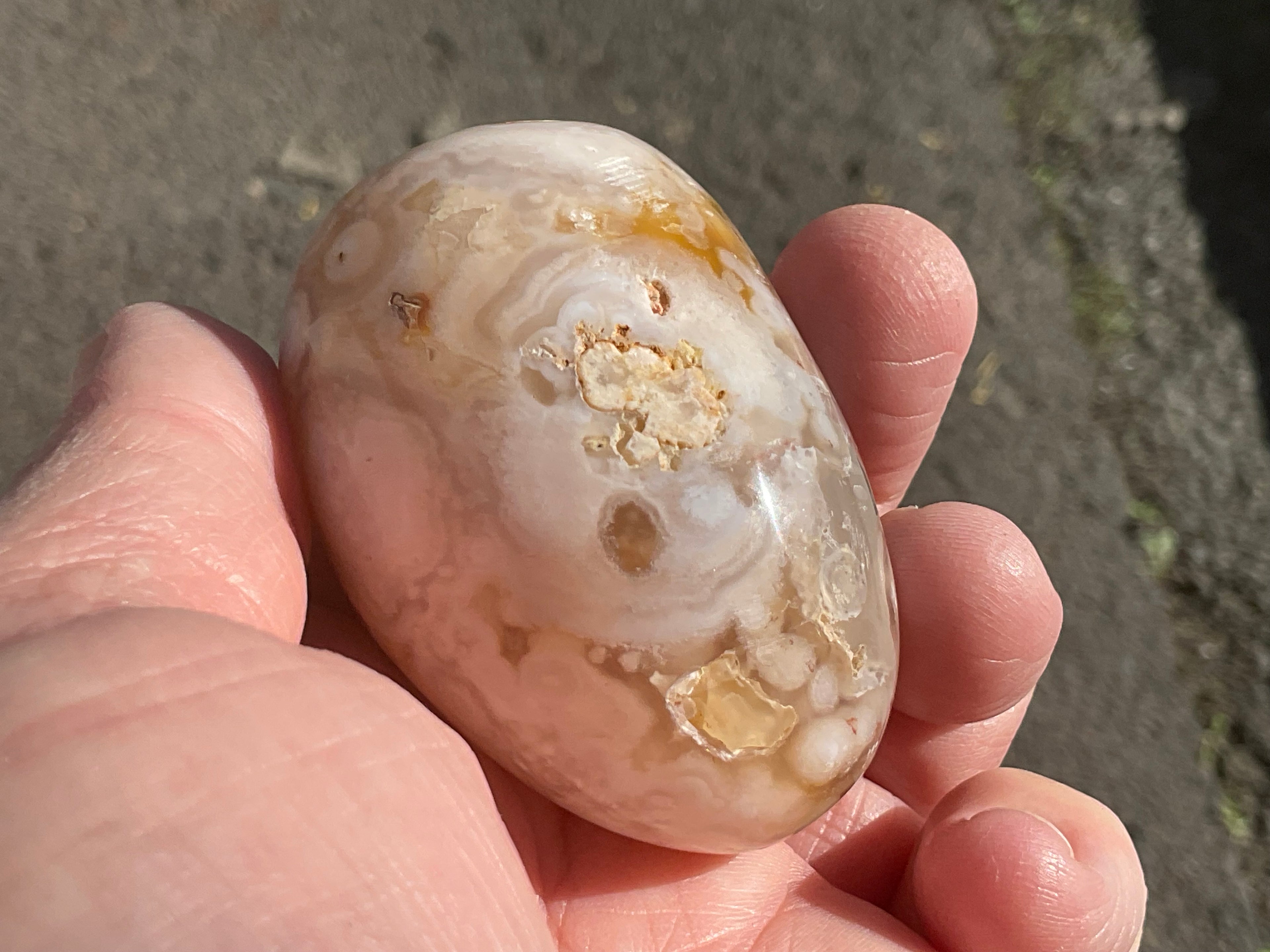 152g Flower Agate Palmstone 10B