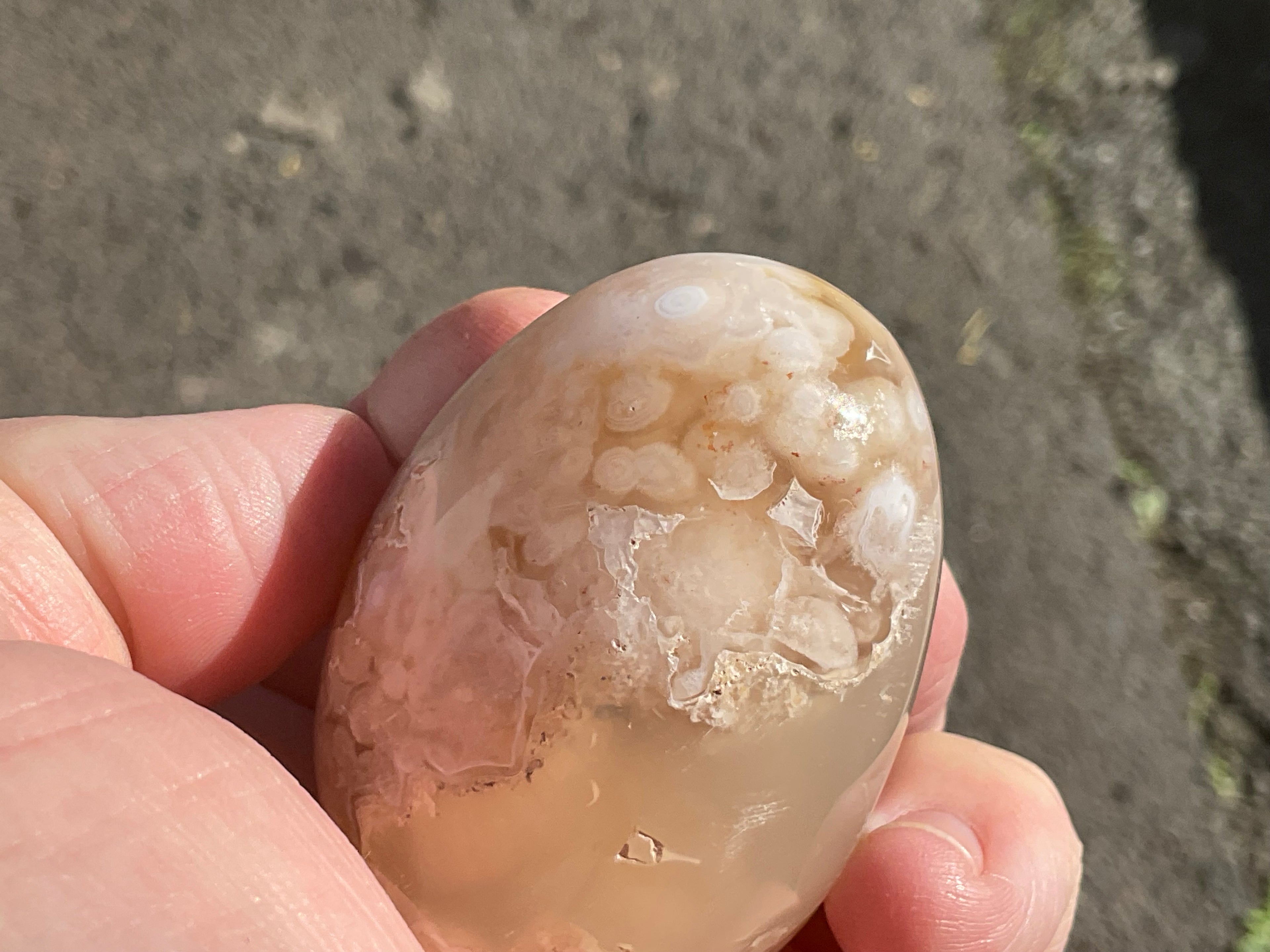 152g Flower Agate Palmstone 10B