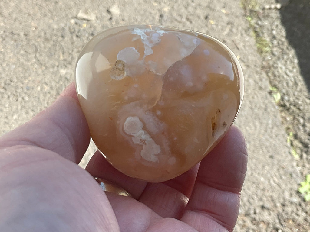167g Flower Agate Palmstone 11C