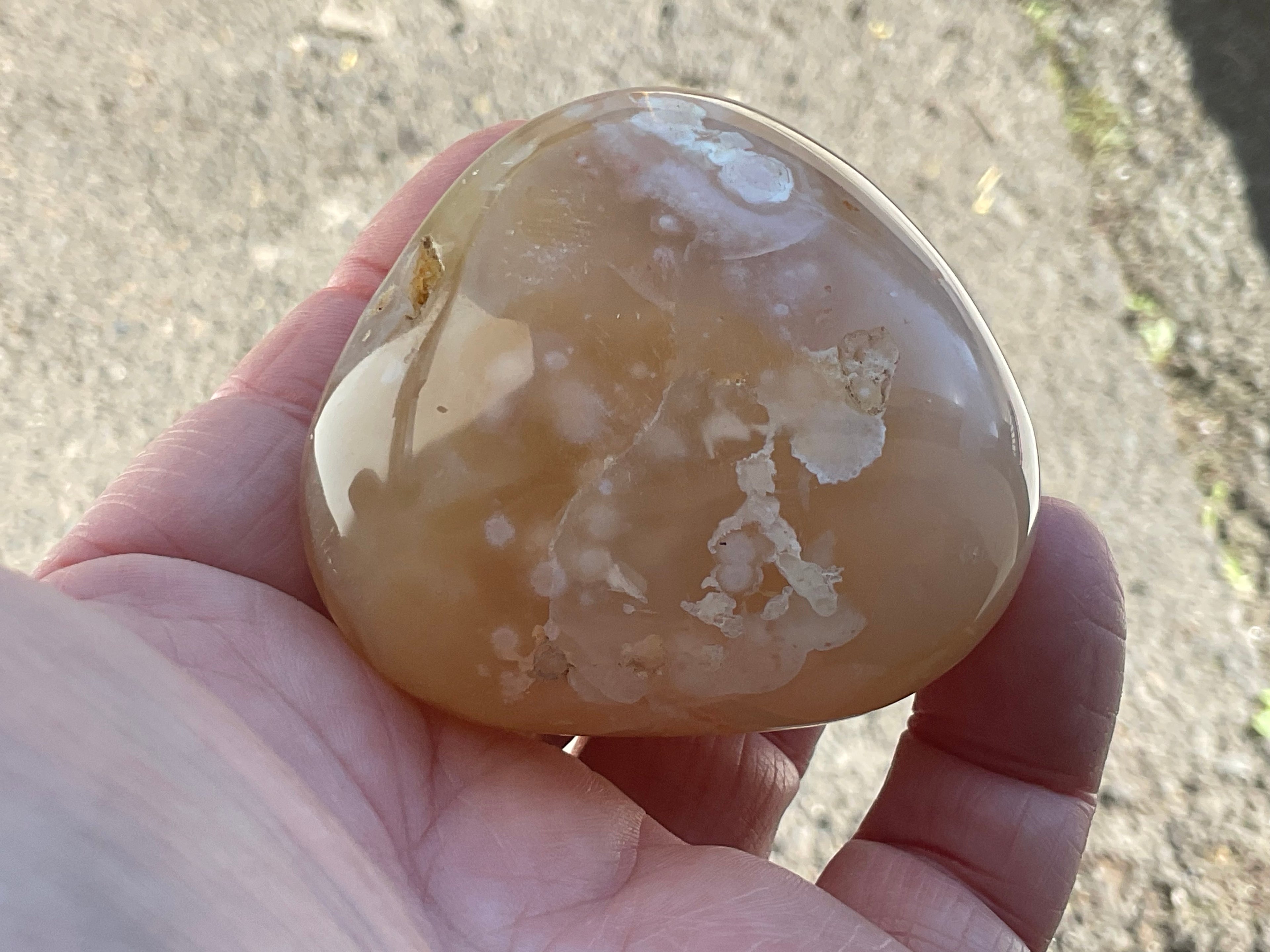 167g Flower Agate Palmstone 11C