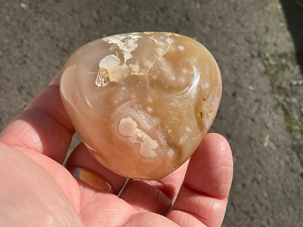 167g Flower Agate Palmstone 11C
