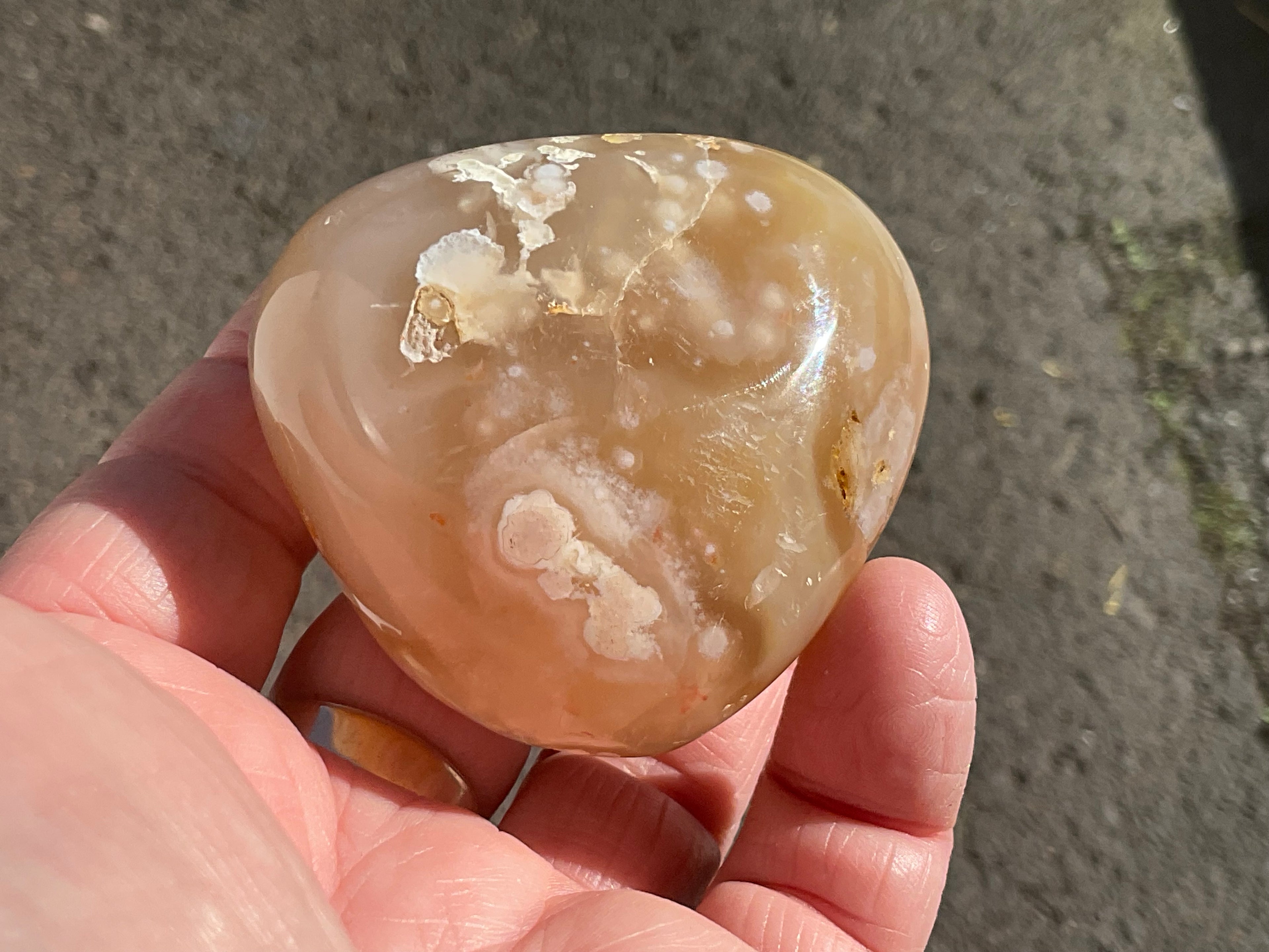 167g Flower Agate Palmstone 11C