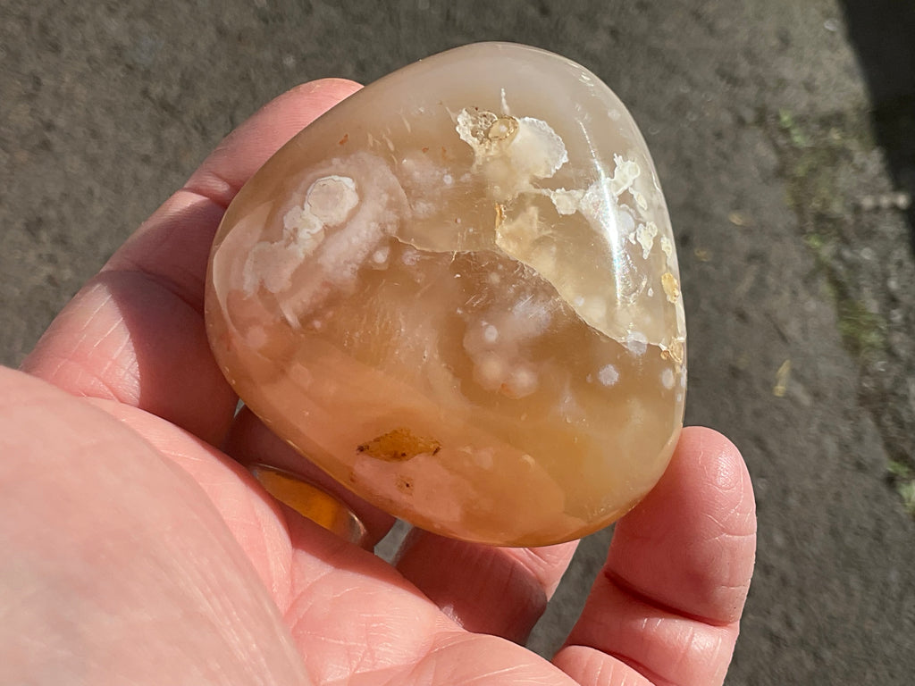 167g Flower Agate Palmstone 11C