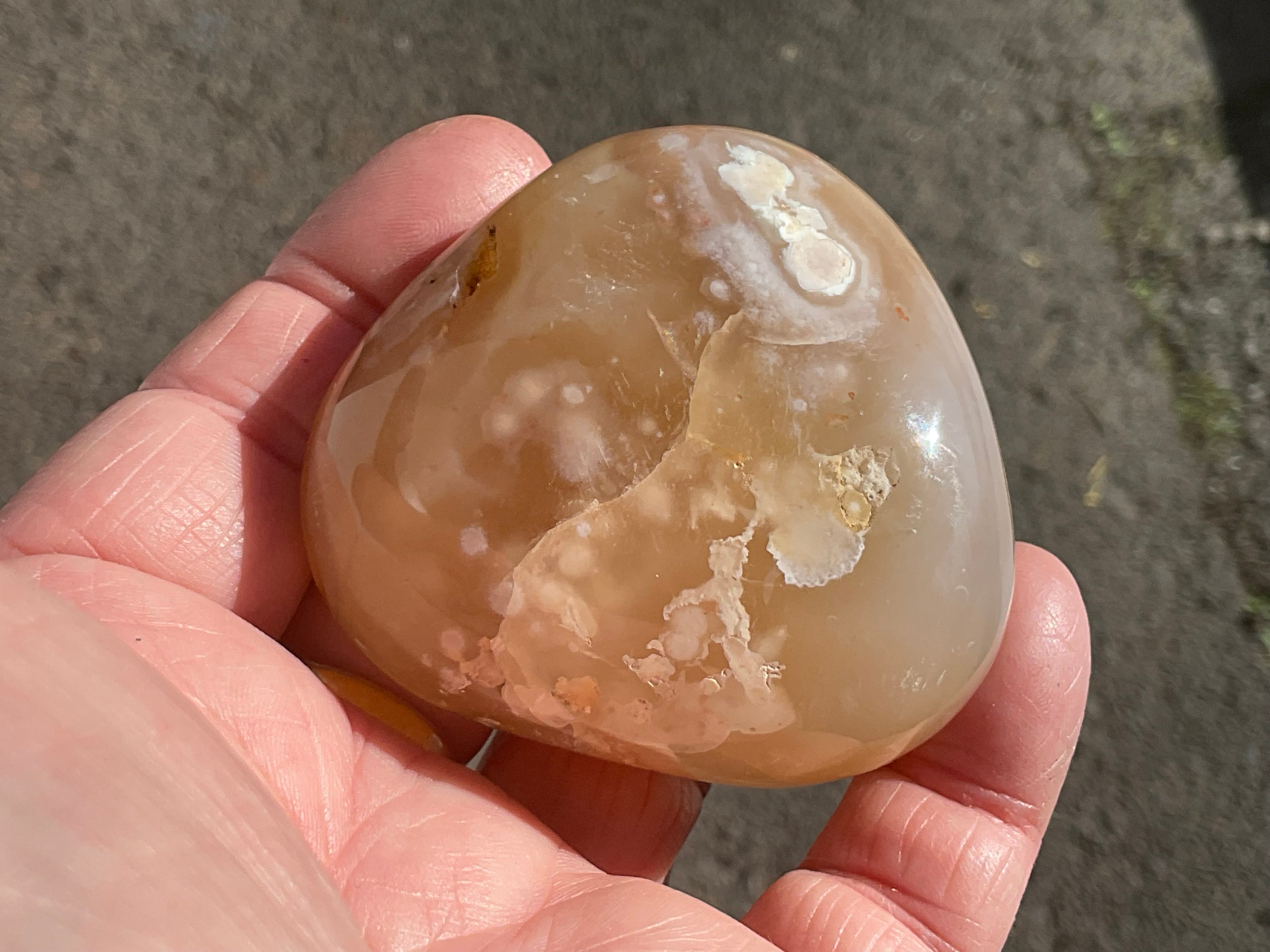 167g Flower Agate Palmstone 11C