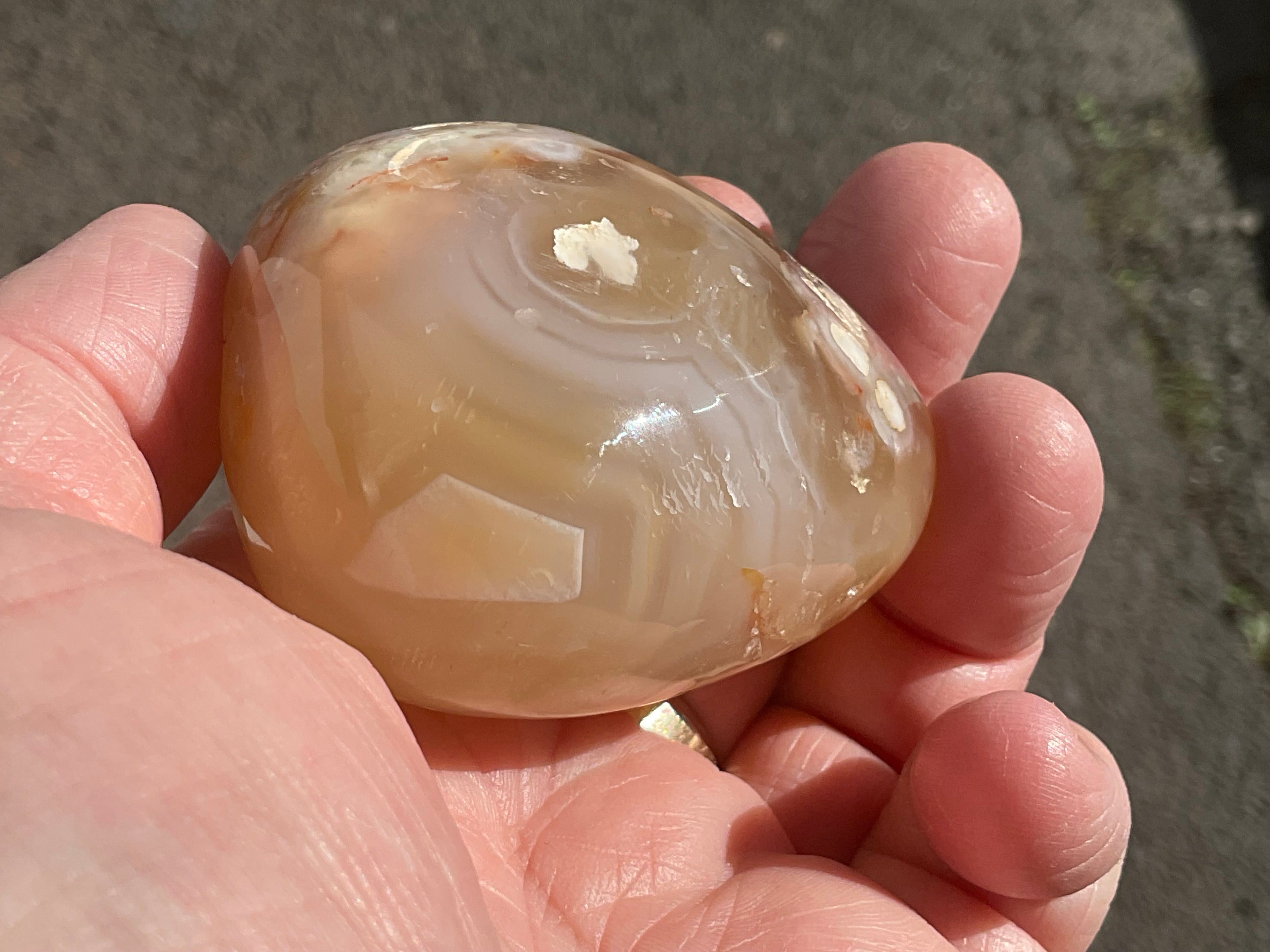 167g Flower Agate Palmstone 11C