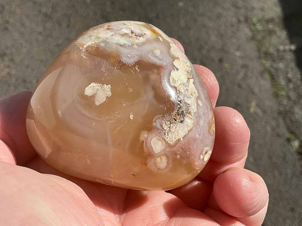 167g Flower Agate Palmstone 11C
