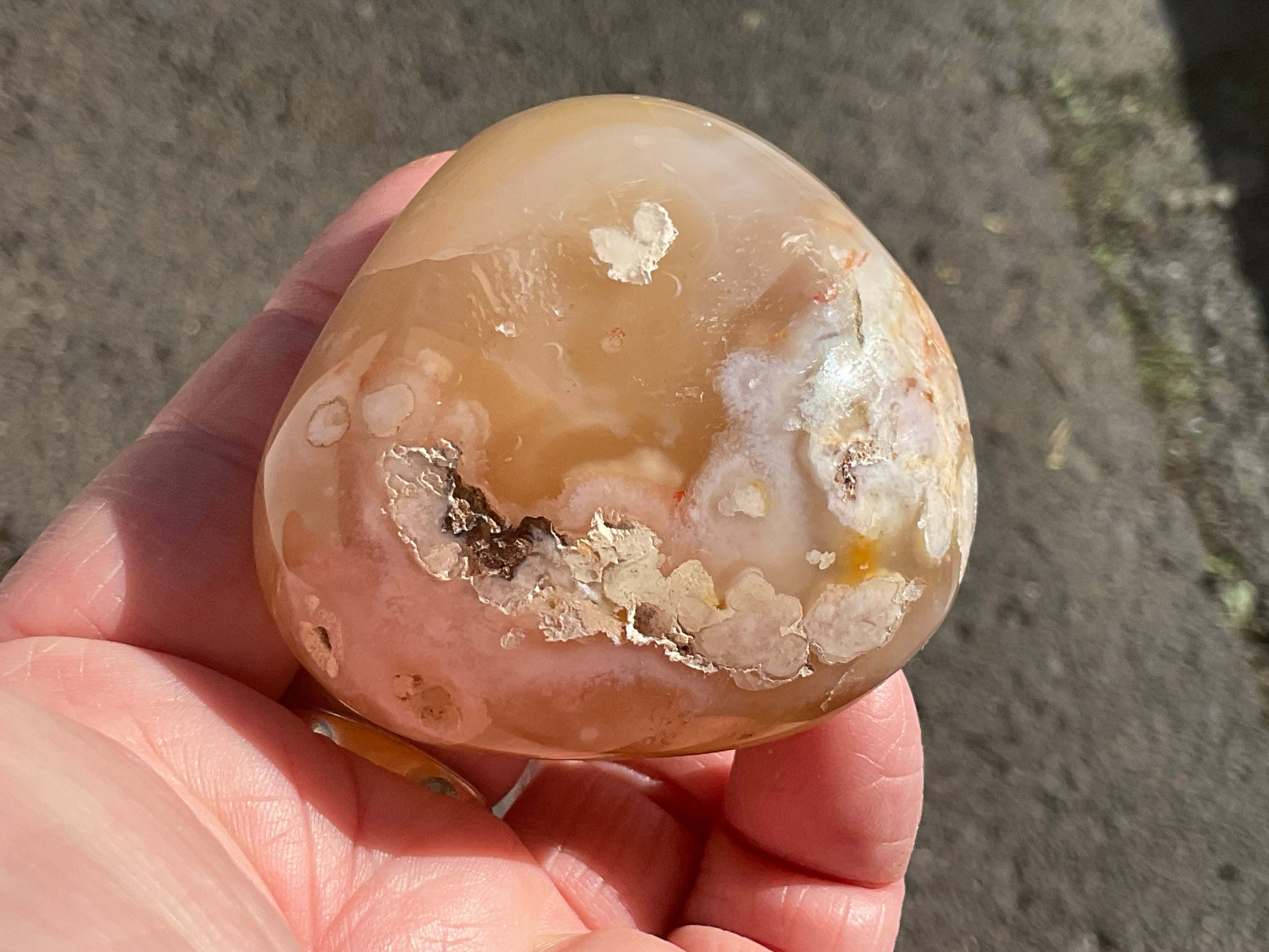 167g Flower Agate Palmstone 11C