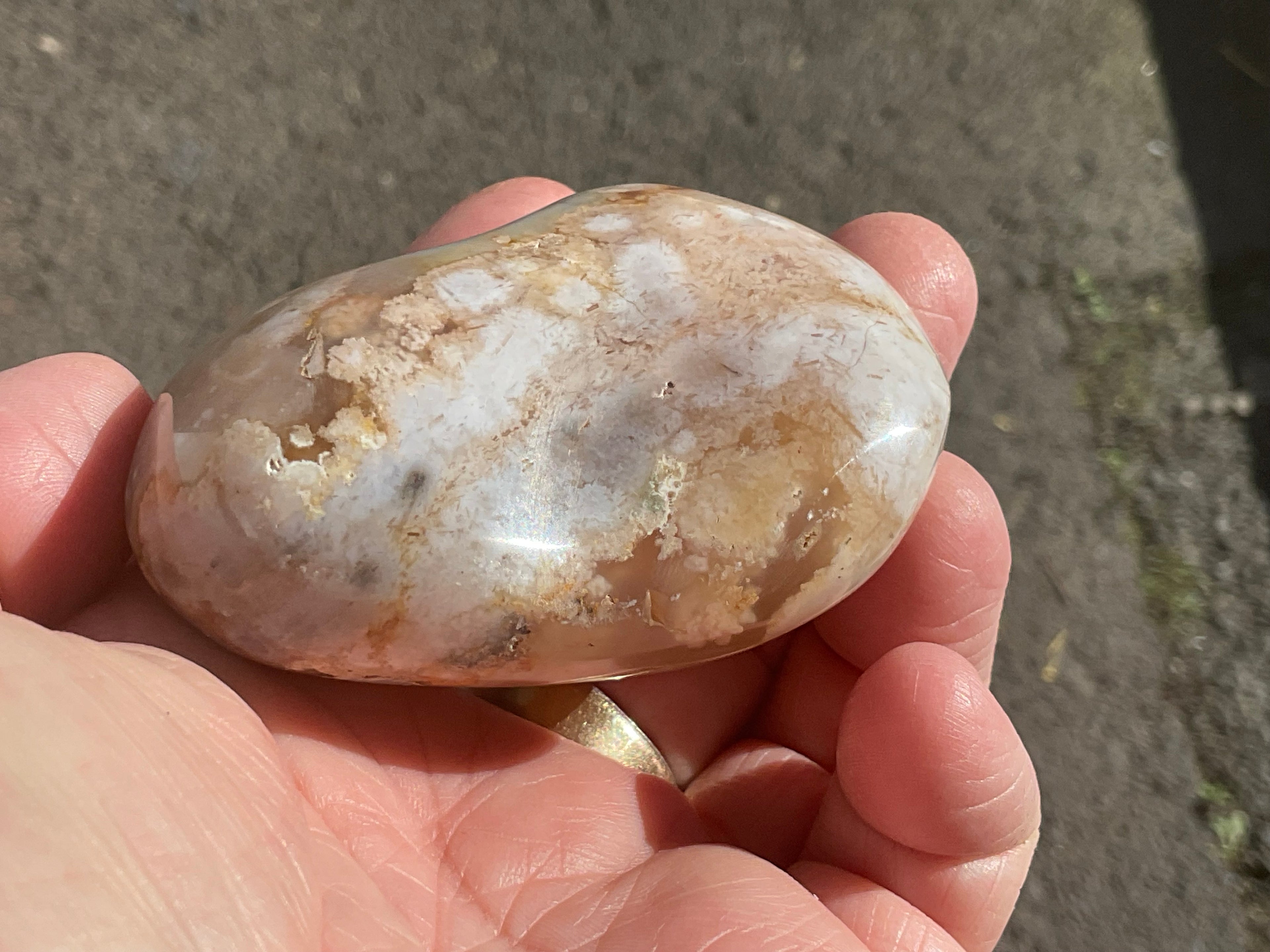215g Flower Agate Palmstone 12B
