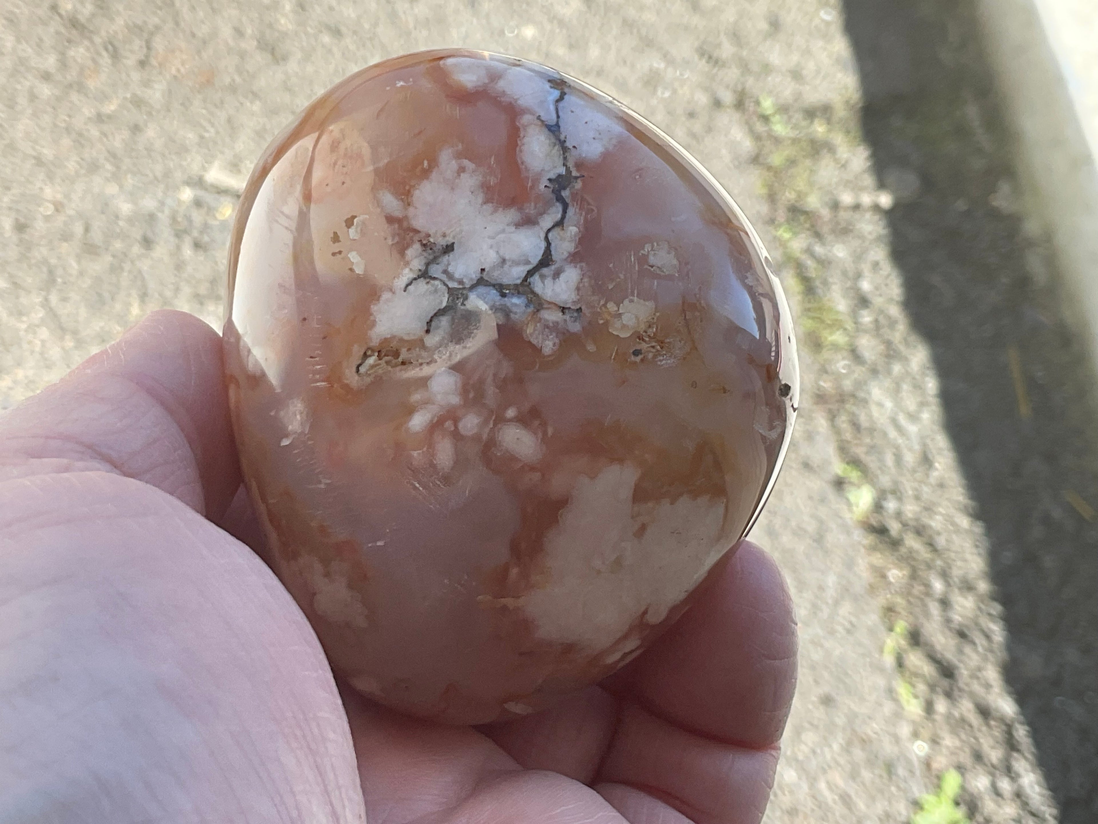226g Flower Agate Palmstone 13A