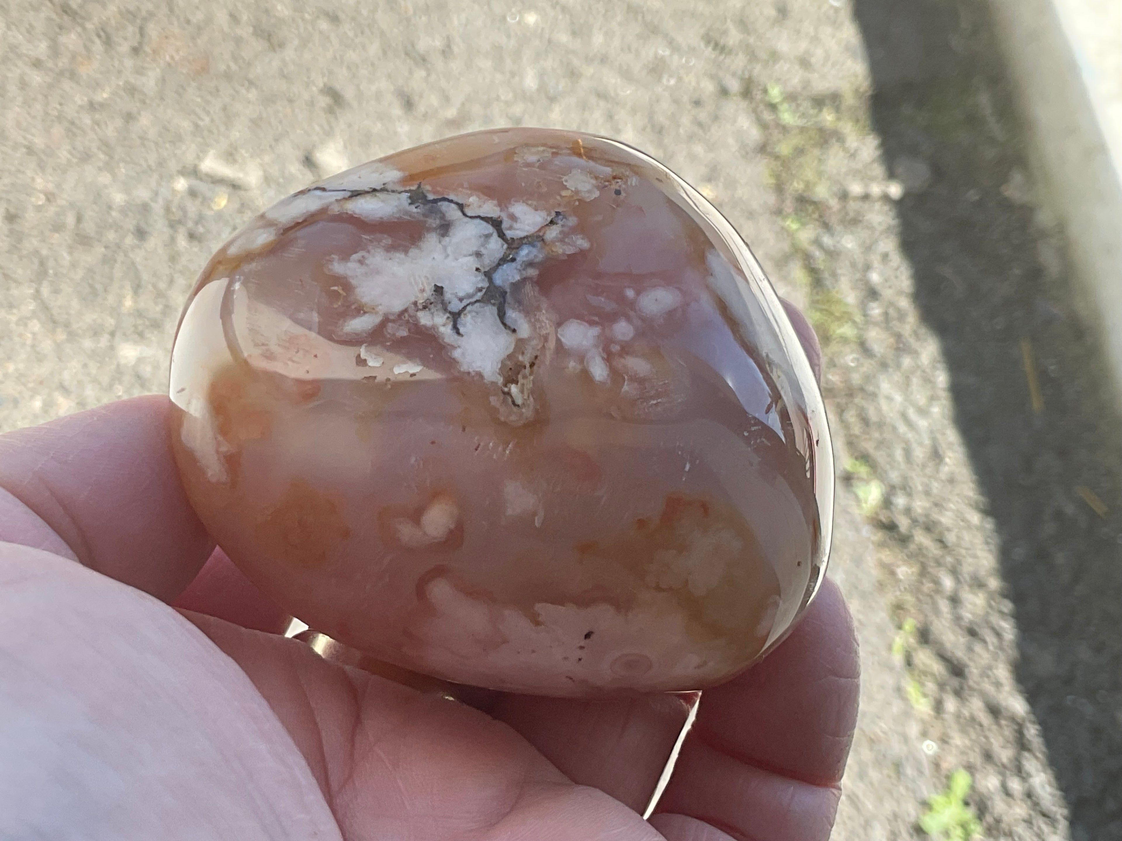 226g Flower Agate Palmstone 13A
