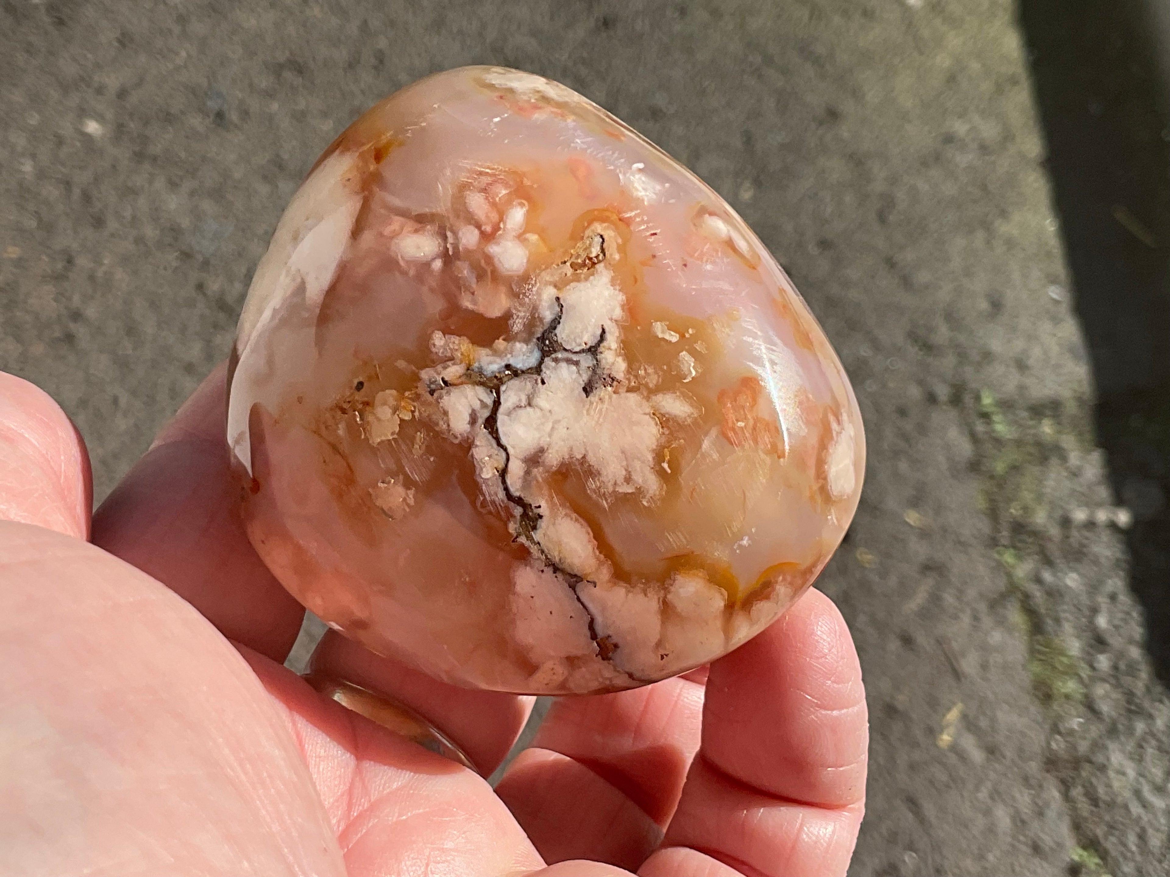 226g Flower Agate Palmstone 13A