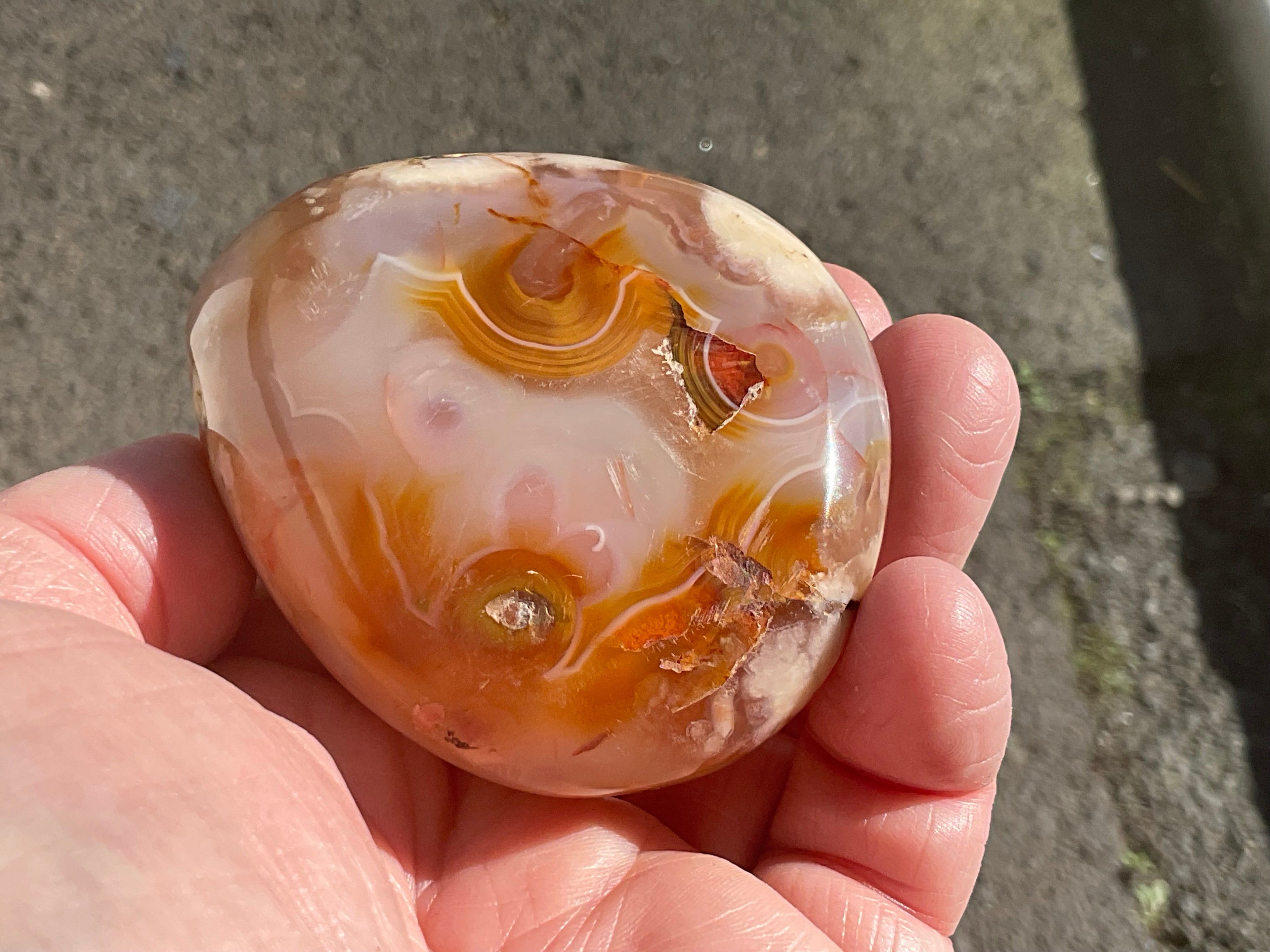 226g Flower Agate Palmstone 13A