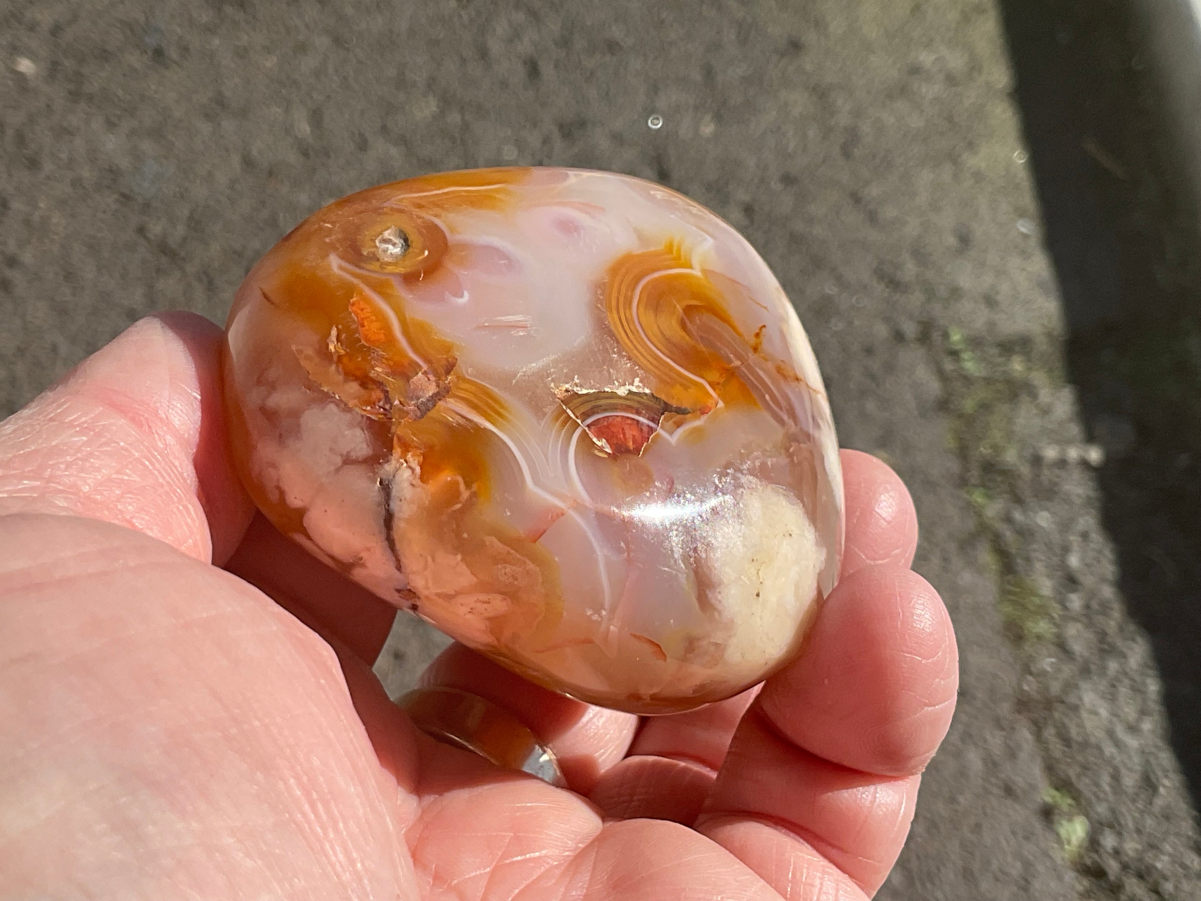 226g Flower Agate Palmstone 13A