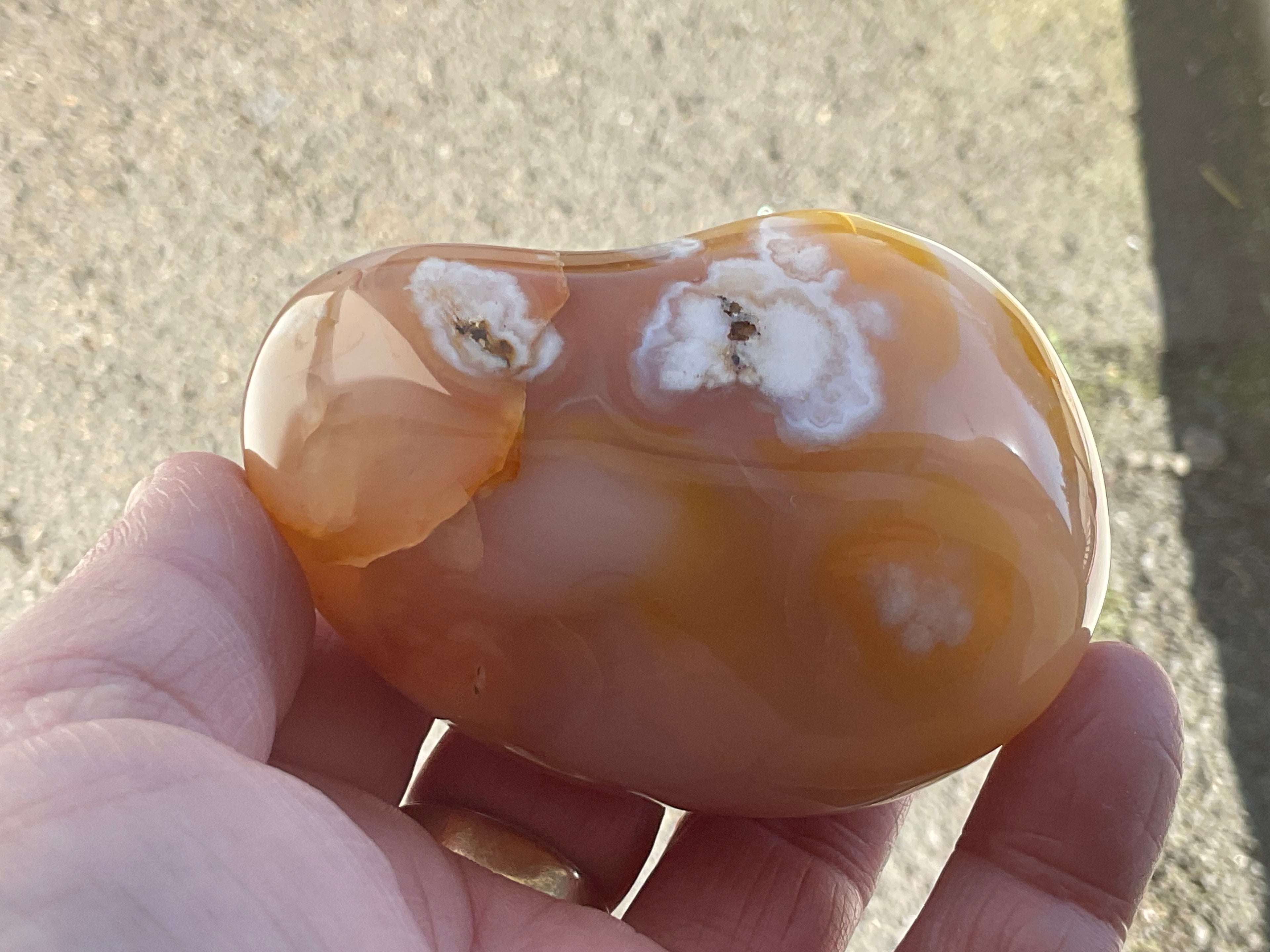 258g Flower Agate Palmstone 13B