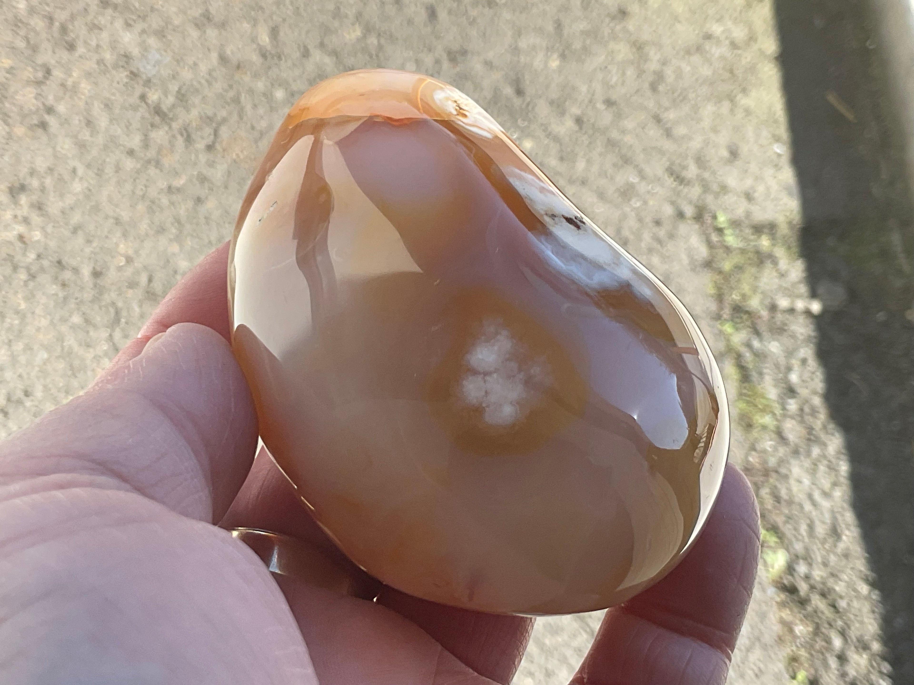 258g Flower Agate Palmstone 13B