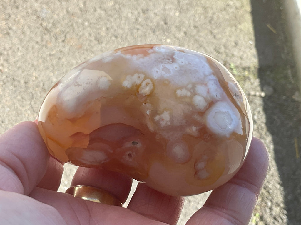 258g Flower Agate Palmstone 13B