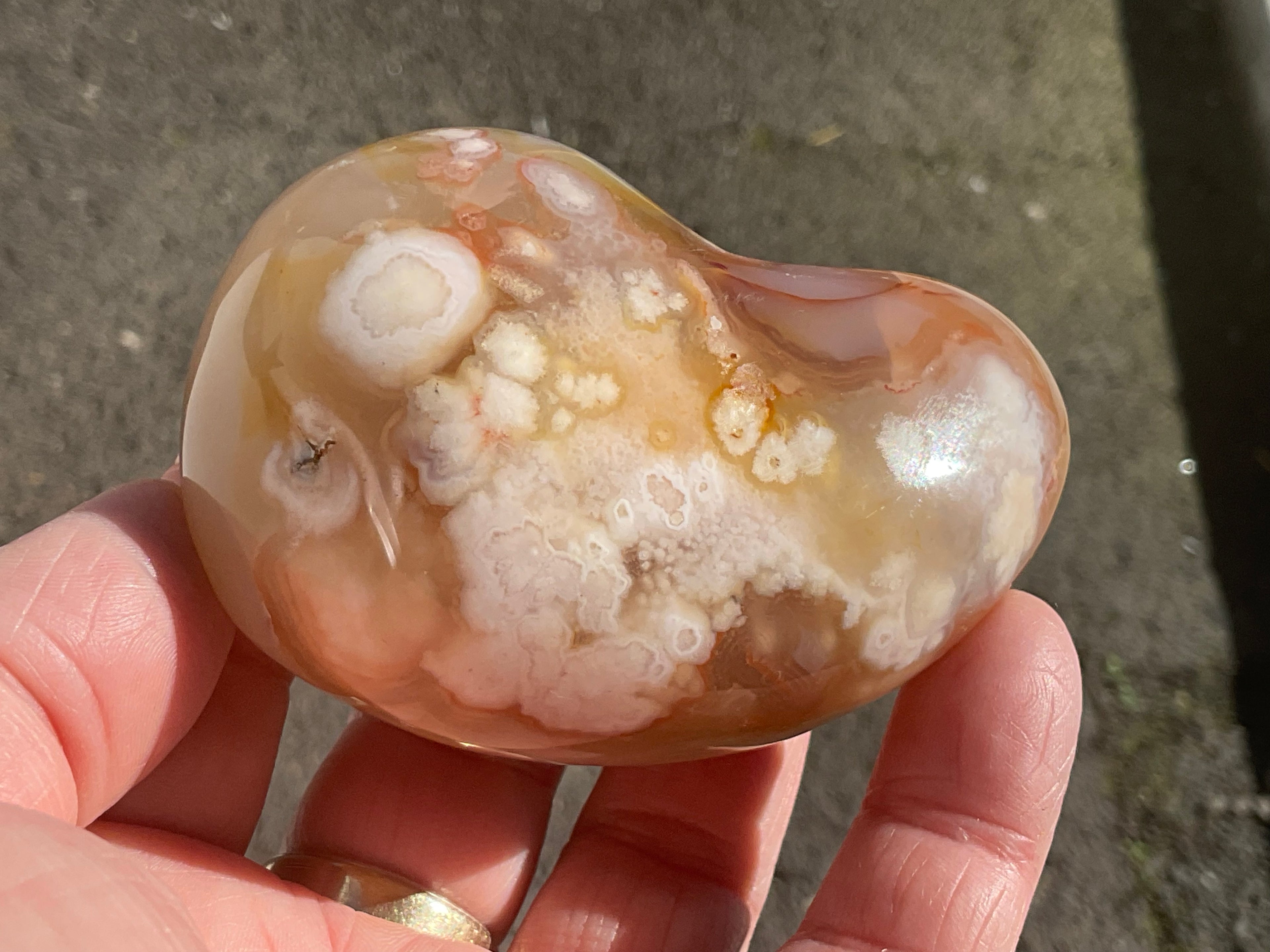 258g Flower Agate Palmstone 13B