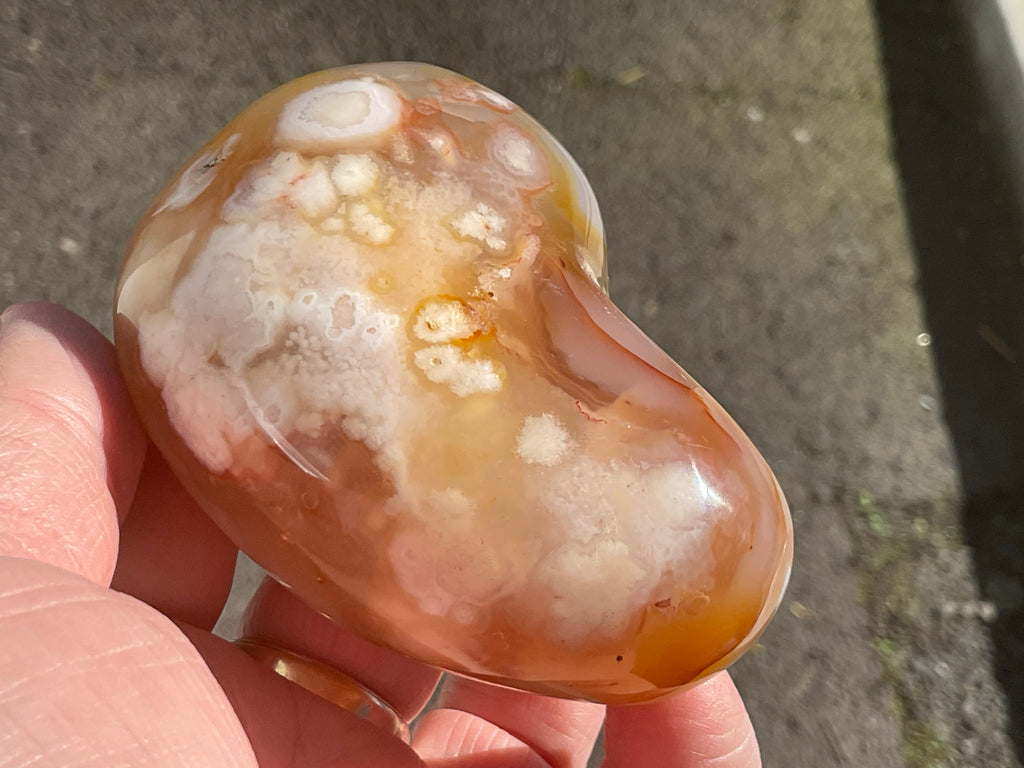258g Flower Agate Palmstone 13B