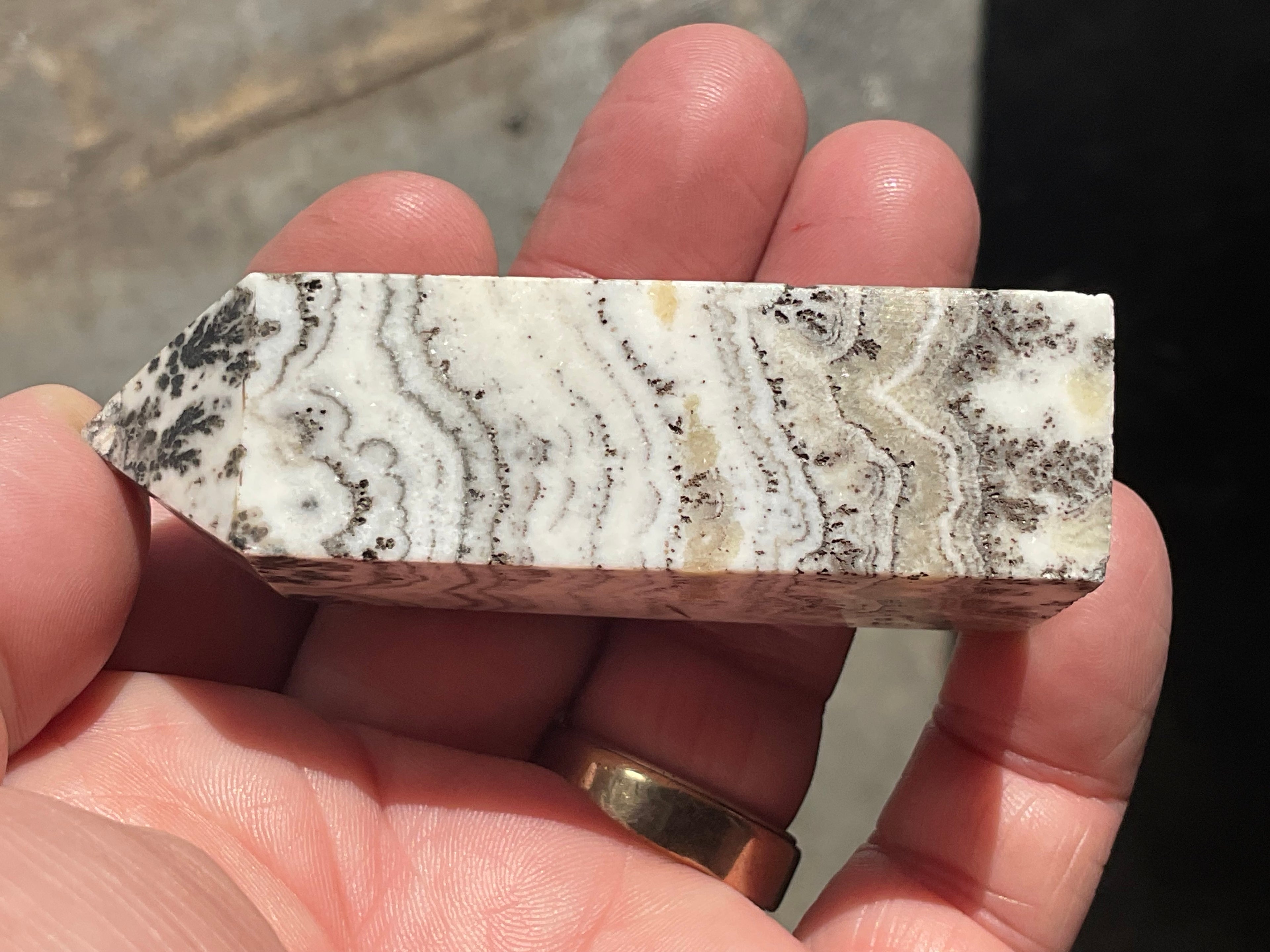 86g Dendritic Calcite Generator B