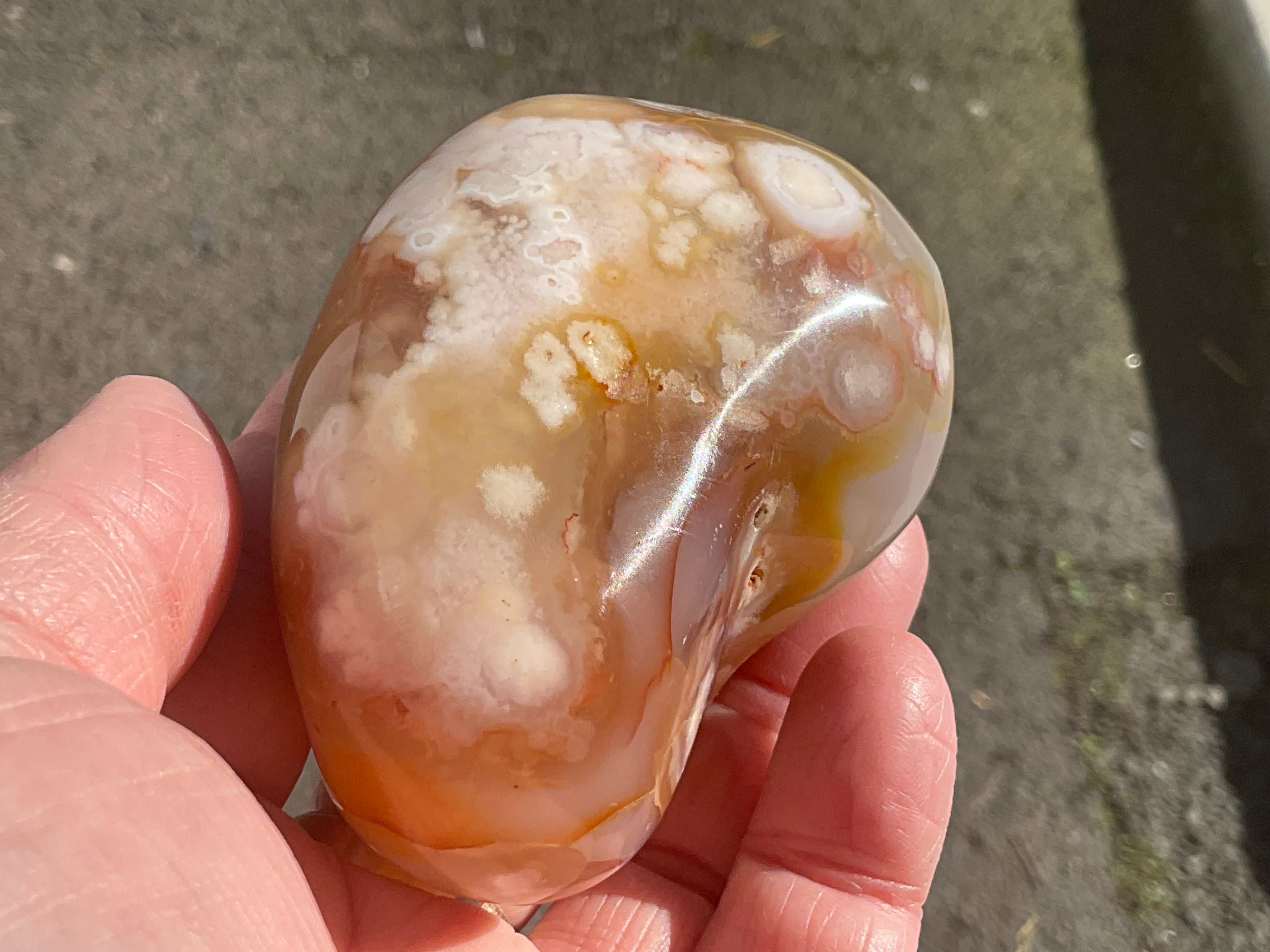 258g Flower Agate Palmstone 13B