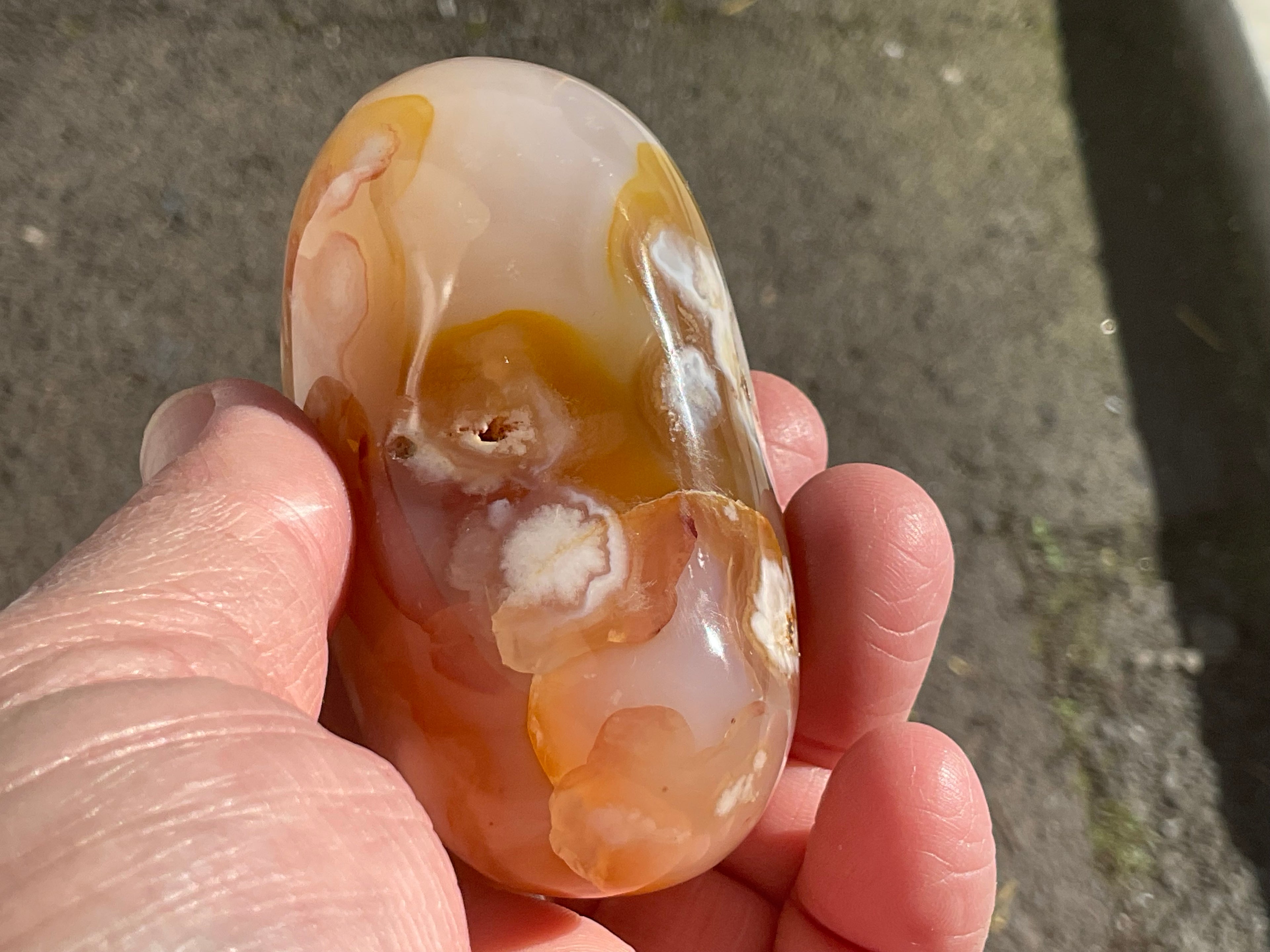 258g Flower Agate Palmstone 13B