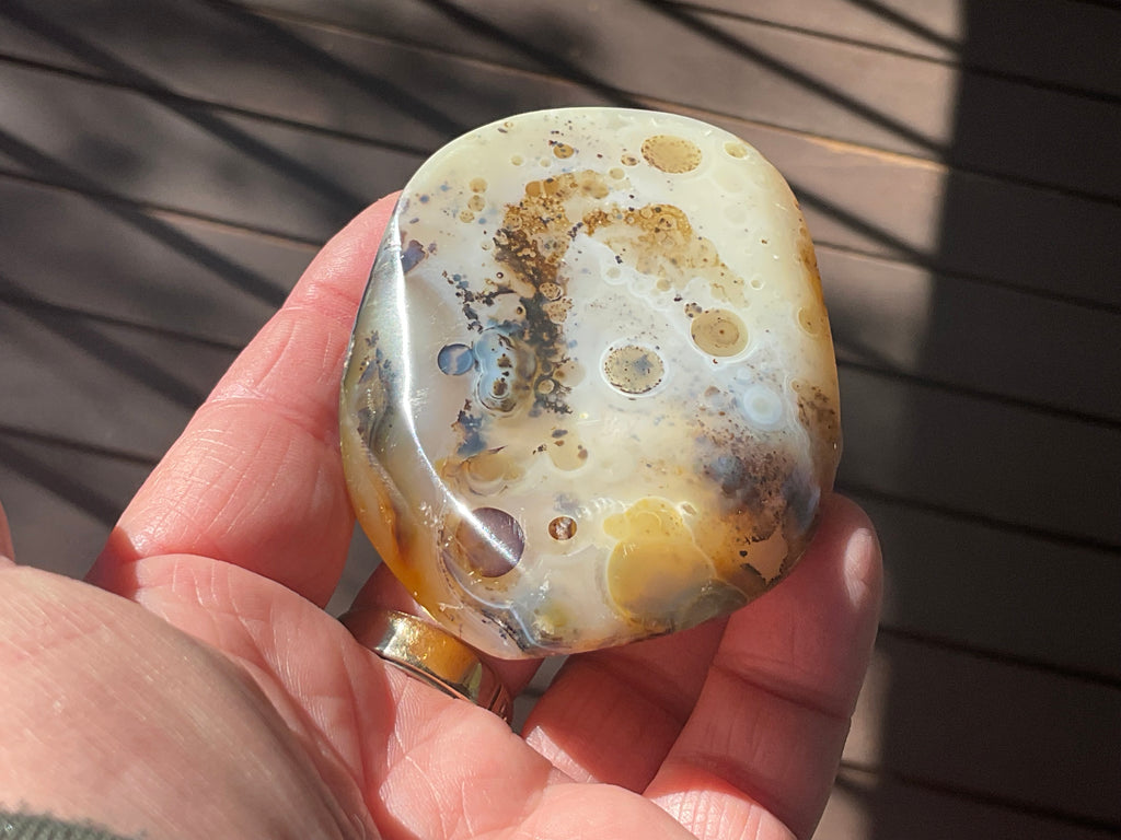 137g Dendritic Agate Palmstone