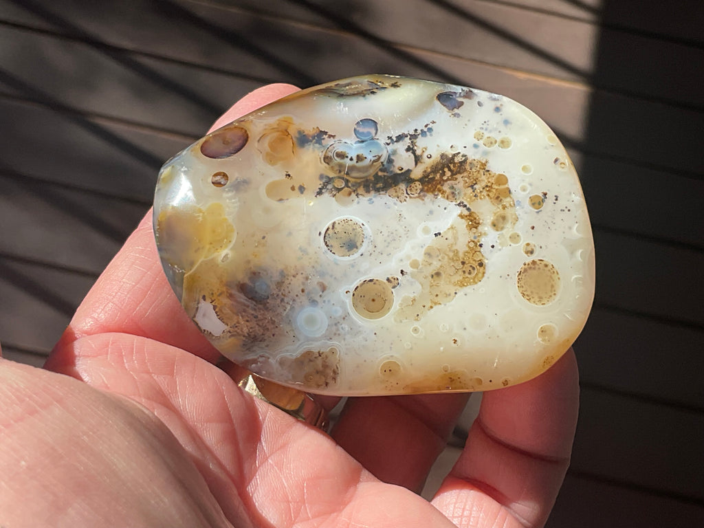 137g Dendritic Agate Palmstone