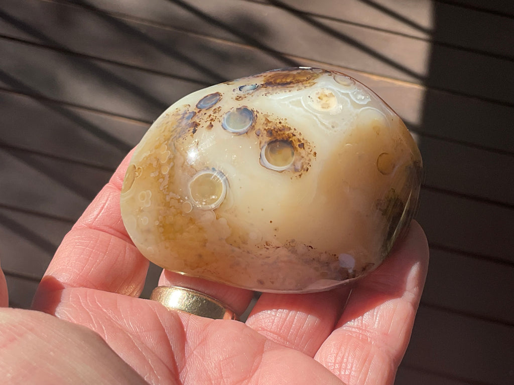 137g Dendritic Agate Palmstone
