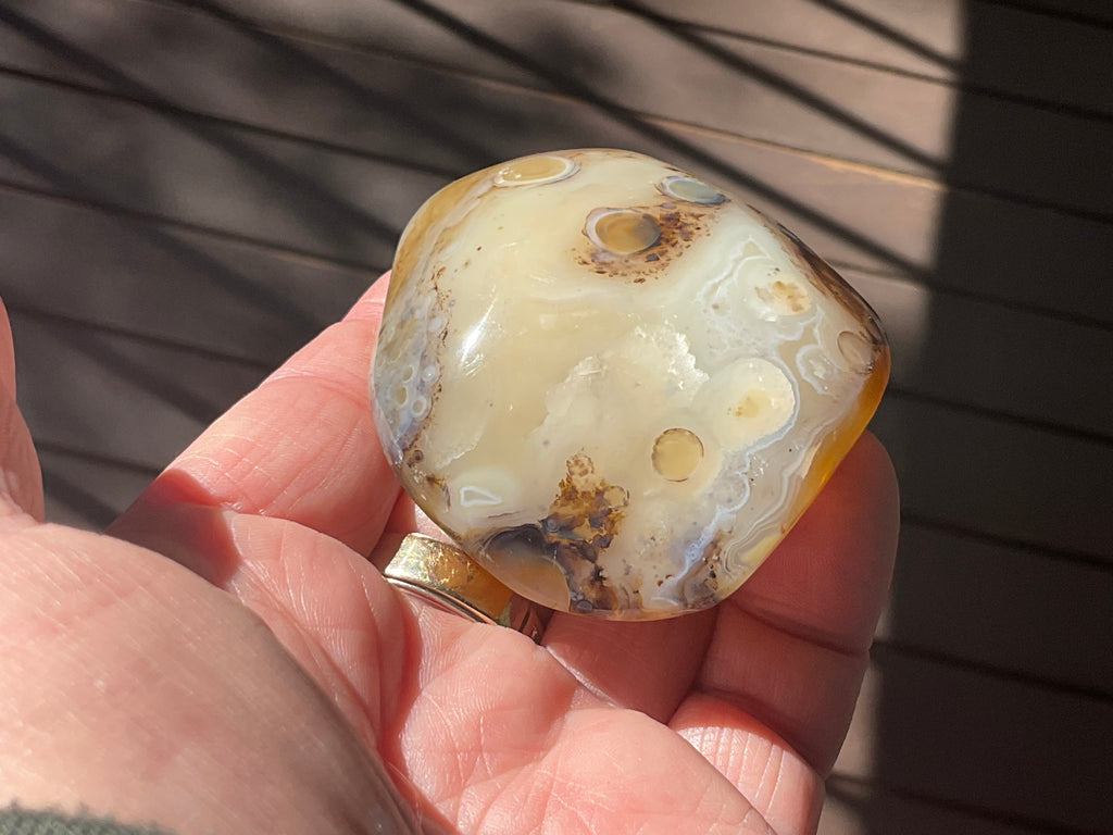 137g Dendritic Agate Palmstone