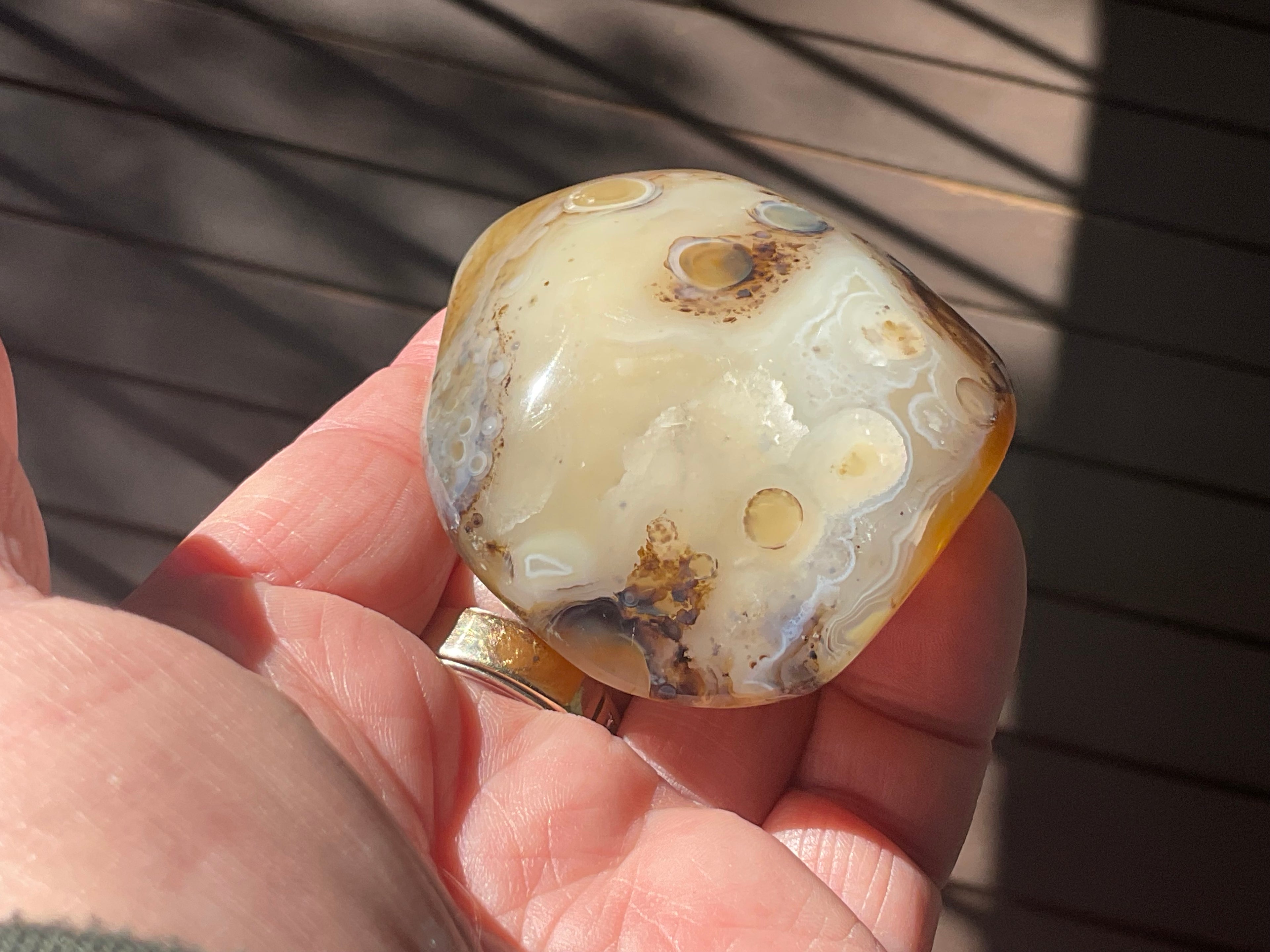 137g Dendritic Agate Palmstone