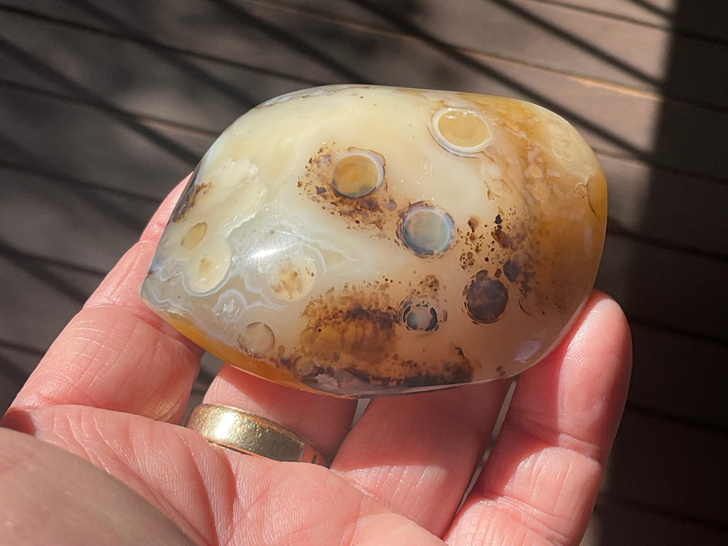 137g Dendritic Agate Palmstone